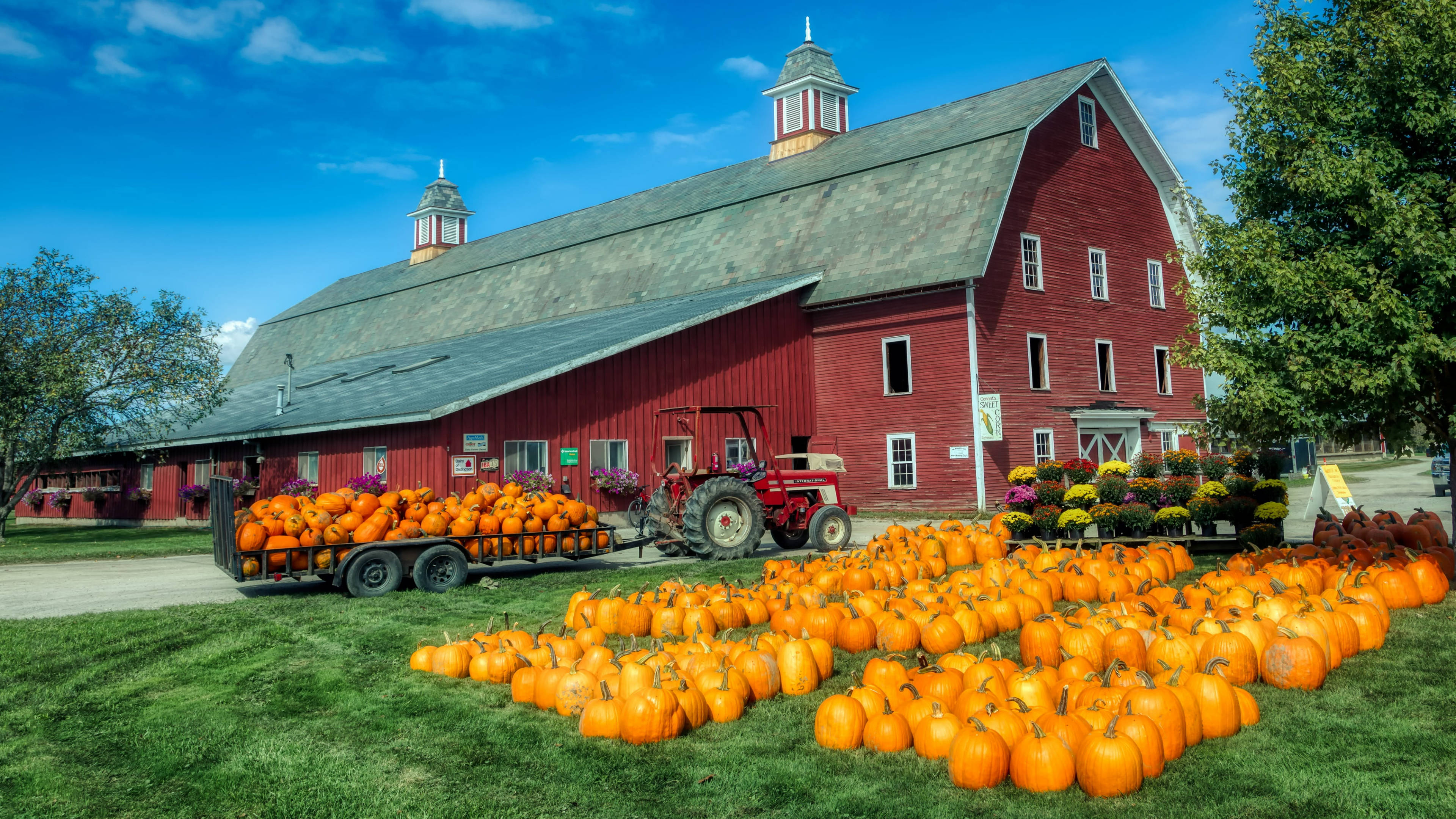 3840x2160 Download Vermont Red Barn And Pumpkins Wallpaper