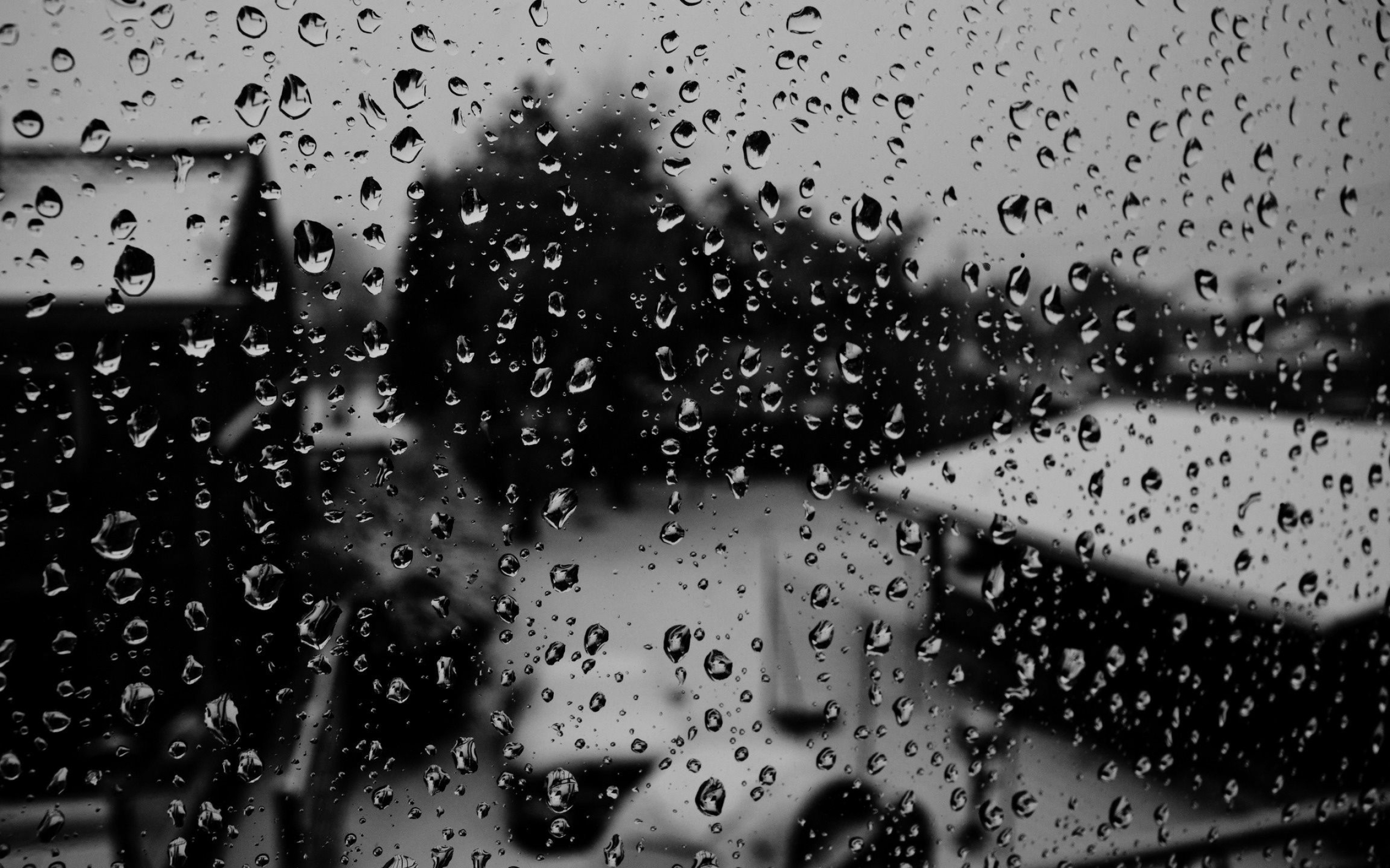 2560x1600 Raindrops Wallpapers Top Free Raindrops Backgrounds