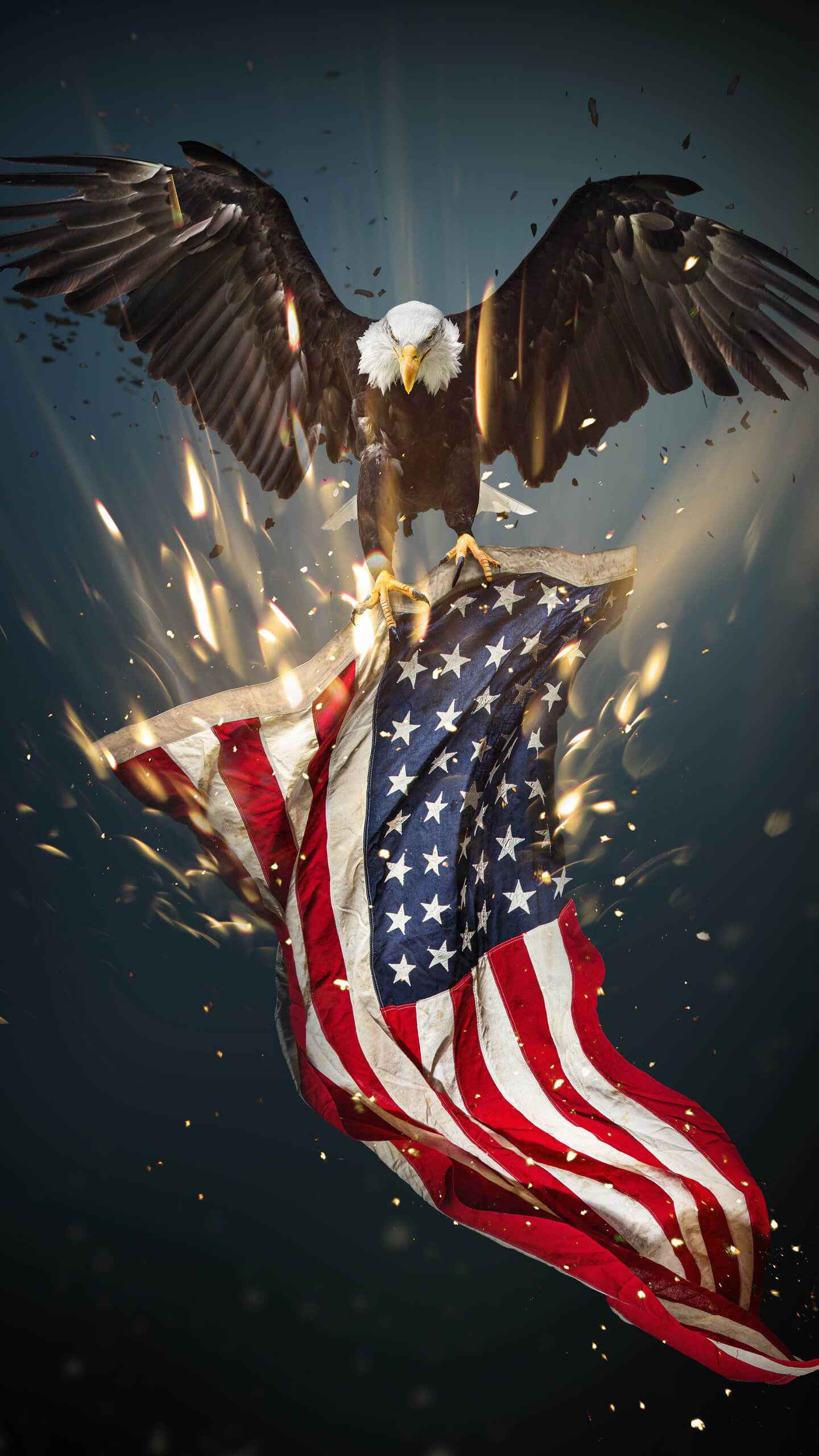 1440x2560 USA Eagle IPhone Wallpaper IPhone Wallpapers : iPhone Wallpapers