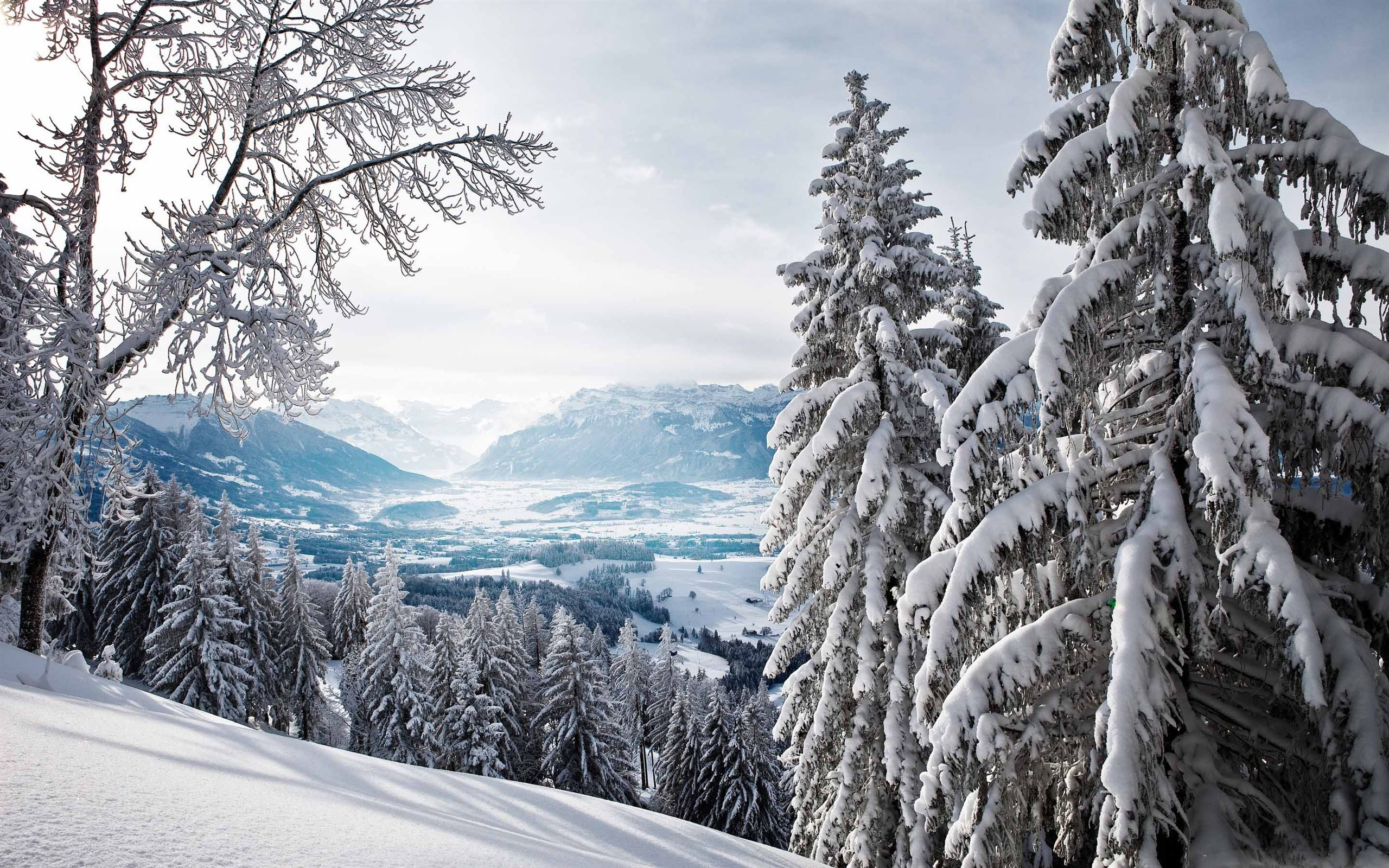 2560x1600 Snowy Mountains Mac Wallpaper Download