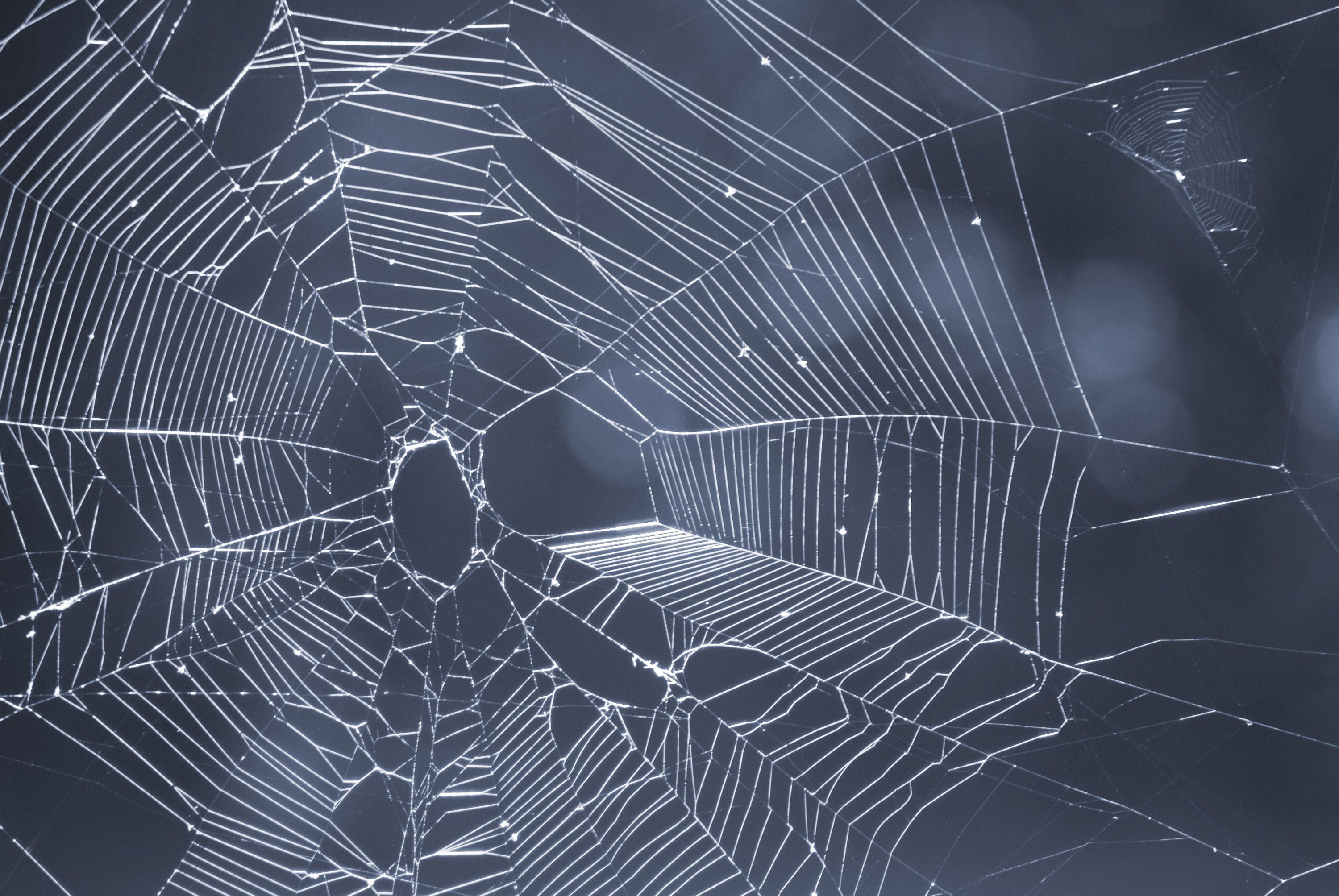 3000x2008 Spiderweb Wallpapers Top Free Spiderweb Backgrounds