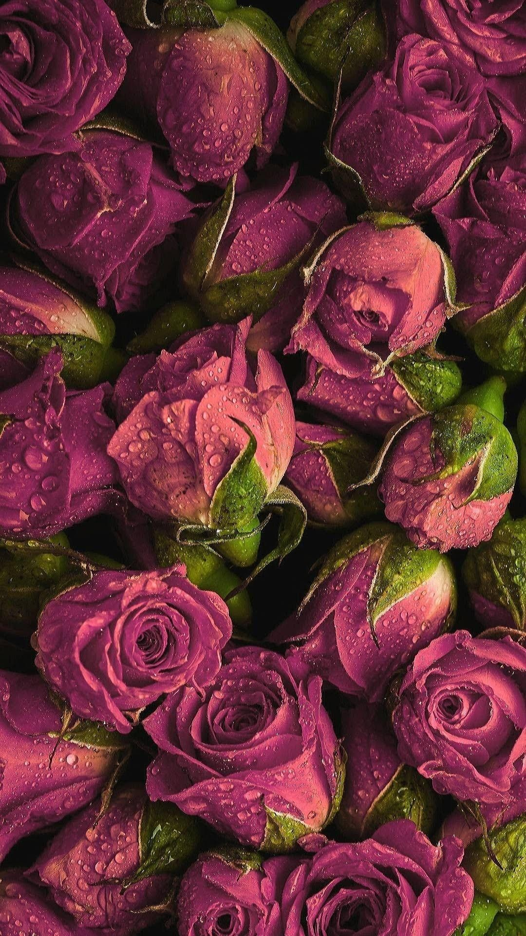 1080x1920 Beautiful Pink Roses- Wallpaper (Phone or whatever) | Flowers photography, Beautiful flowers, Flower aesthetic