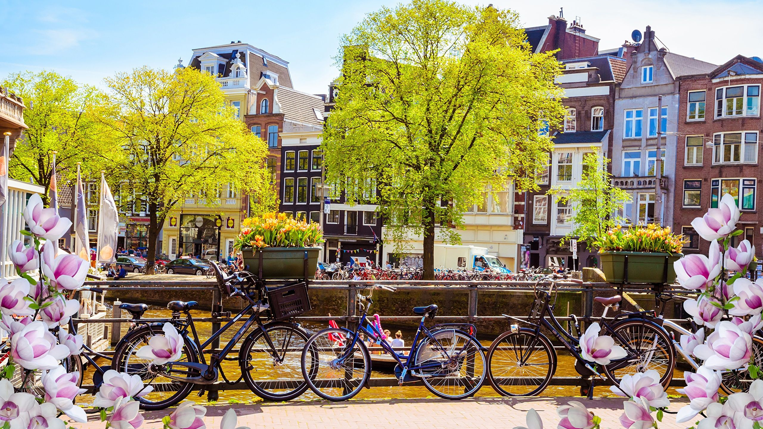 2560x1440 Amsterdam Spring Wallpapers Top Free Amsterdam Spring Backgrounds