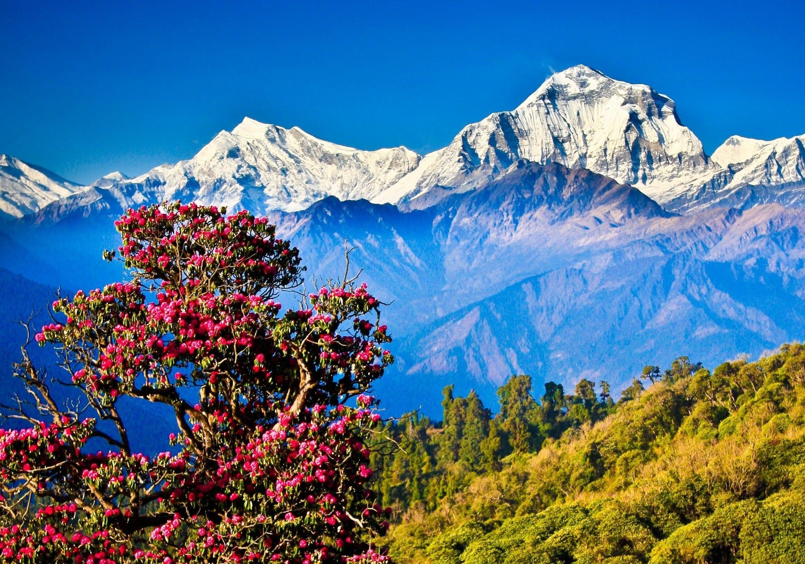 2588x1814 Nepal Landscape Wallpapers Top Free Nepal Landscape Backgrounds
