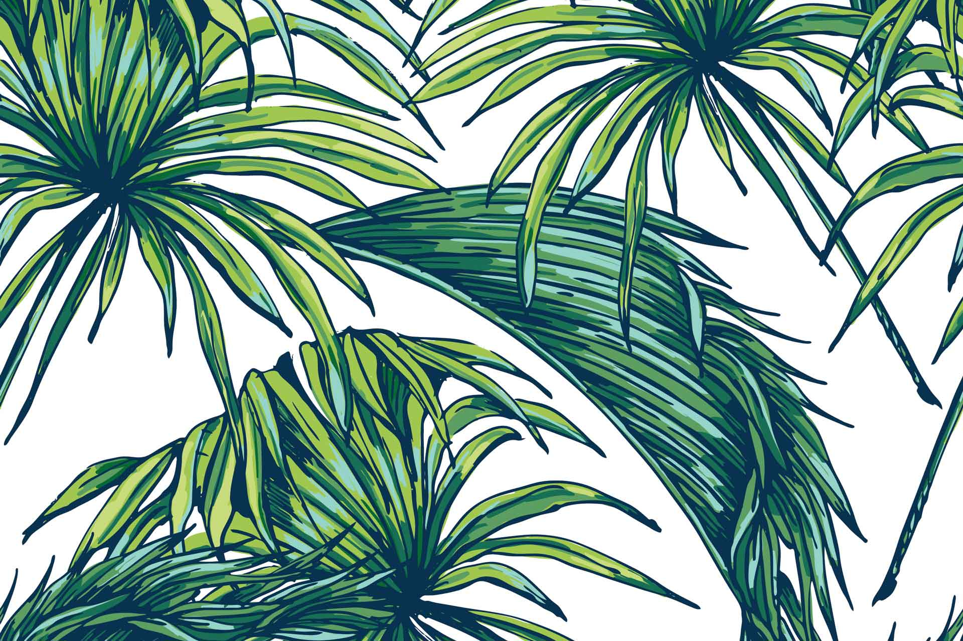 1920x1278 Green Tropical Leaves Wallpapers