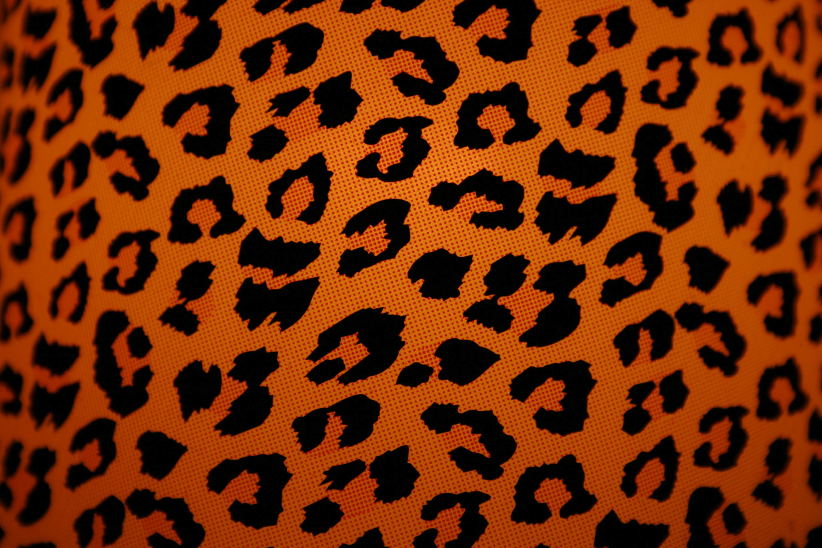 2711x1807 Pictures of Cheetah Print Wallpaper (55+ pictures