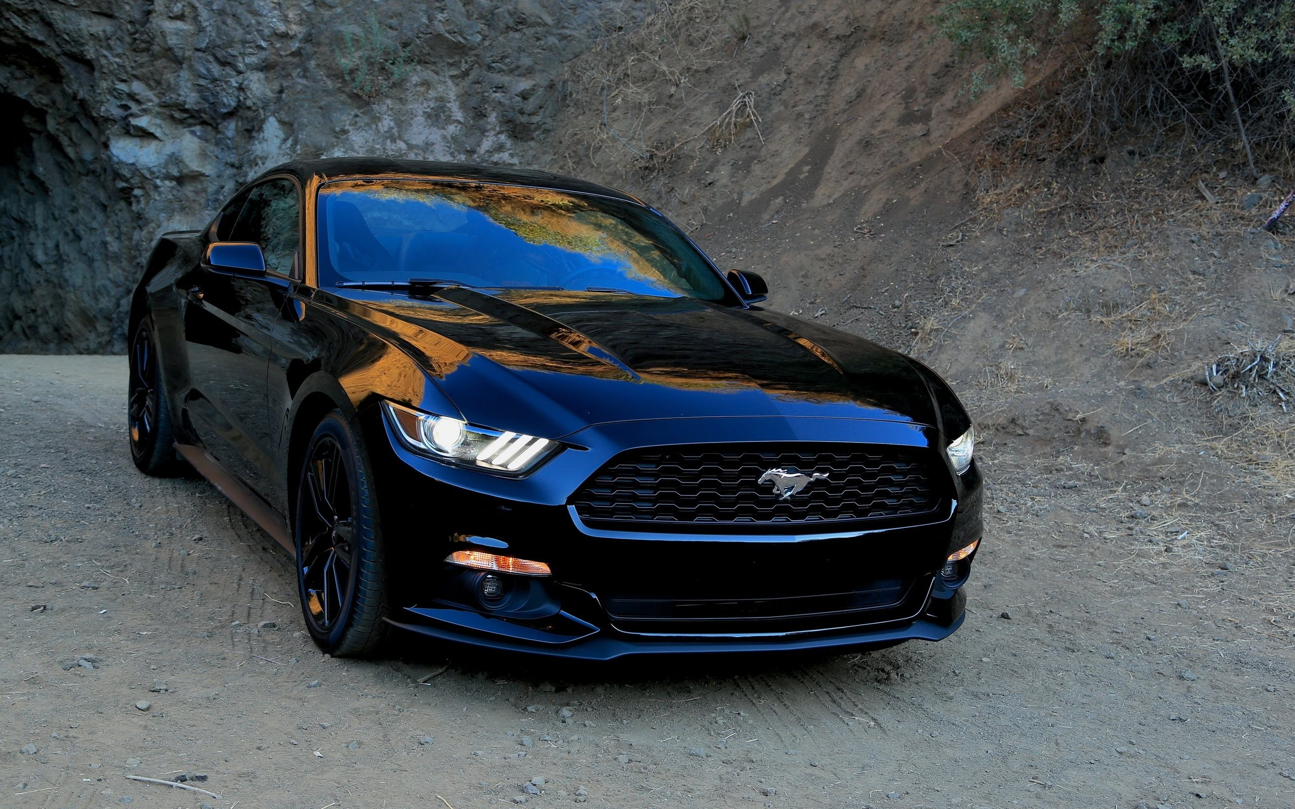 2560x1600 950+ Ford Mustang HD Wallpapers and Backgrounds