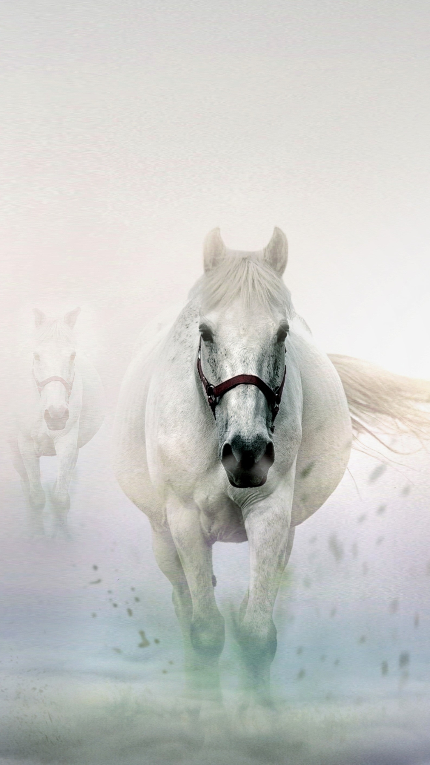 1440x2560 White Horses Mobile Abyss