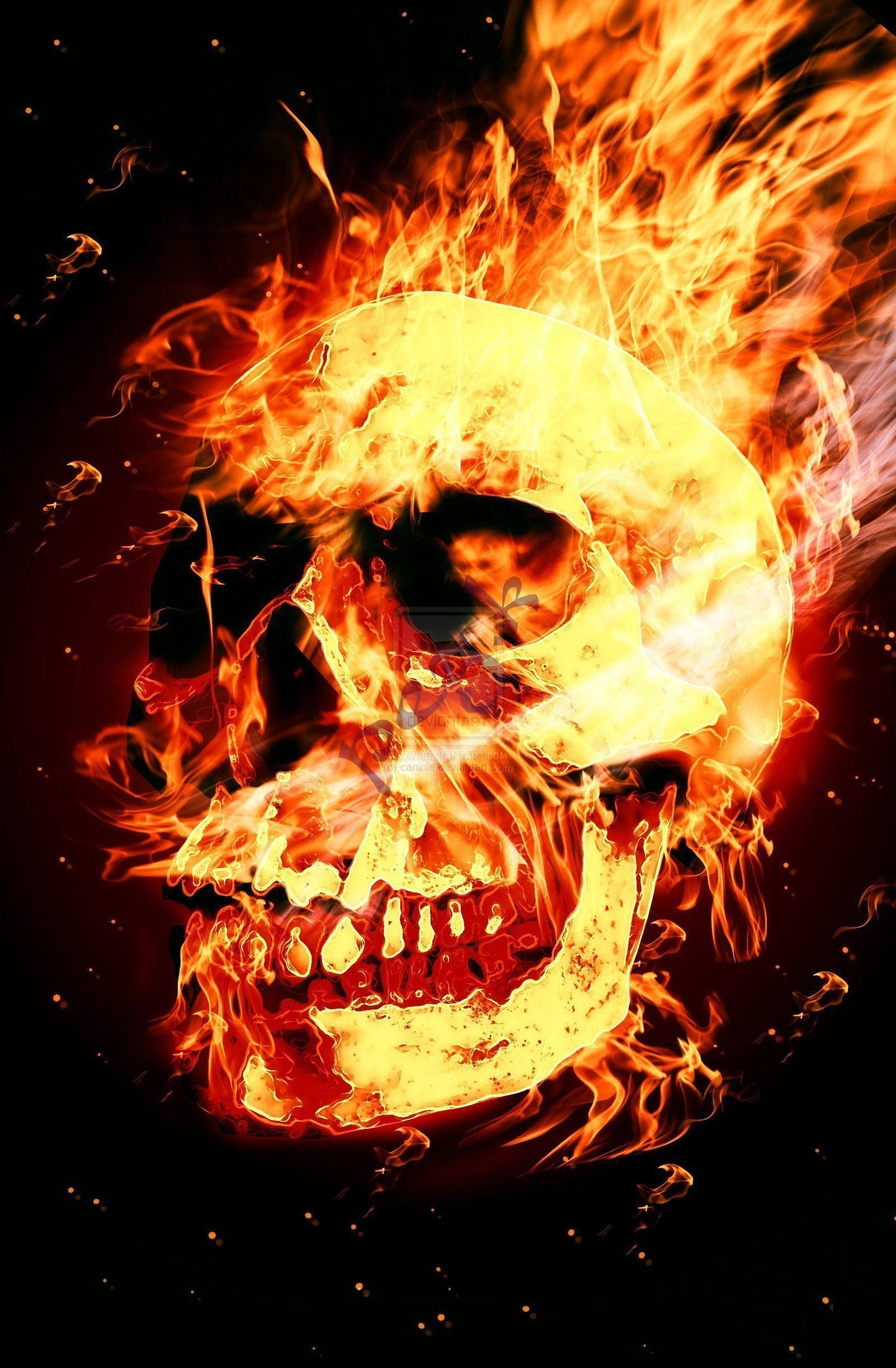 1600x2442 Fire Skull Pics, wallpaper, Fire Skull Pics hd wallpaper . | Skull wallpaper, Skull fire, Skull wallpaper iphone