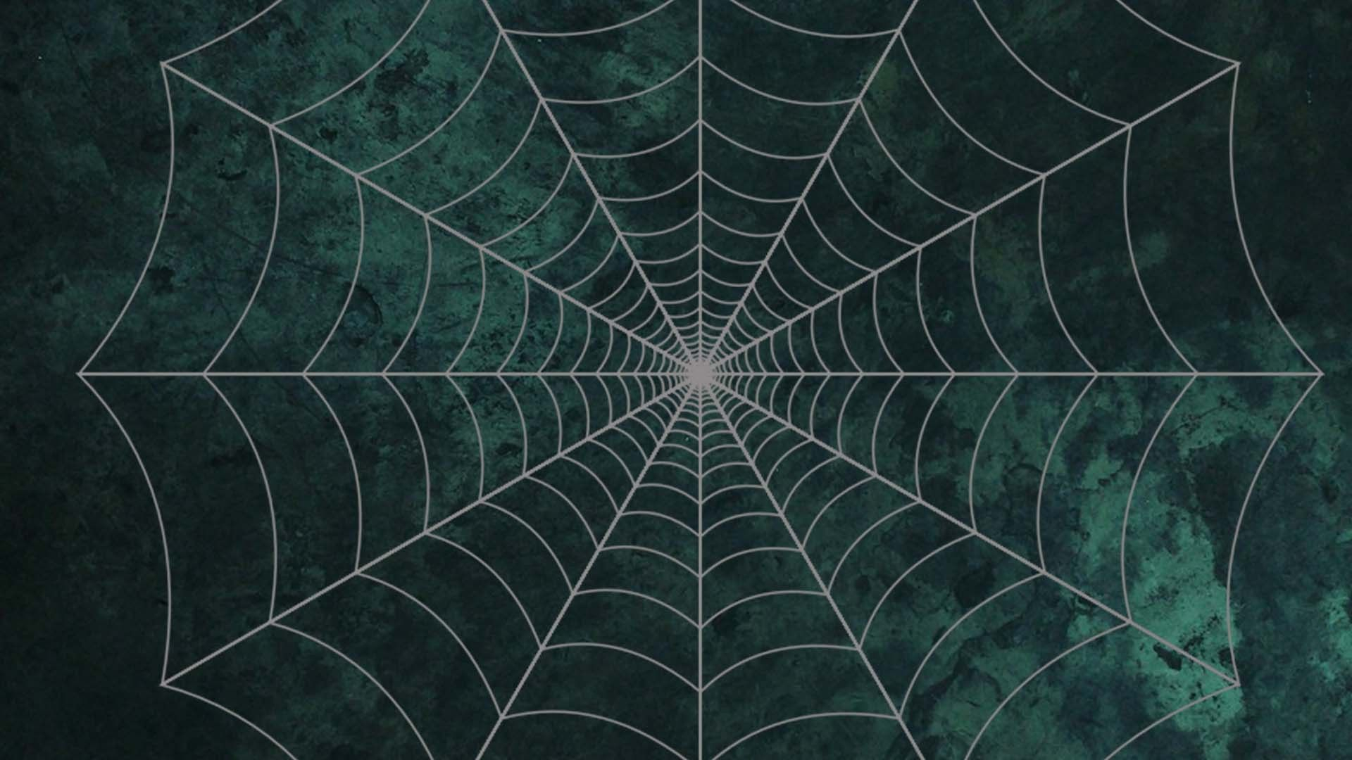 1920x1080 Cute Halloween Spider Wallpapers