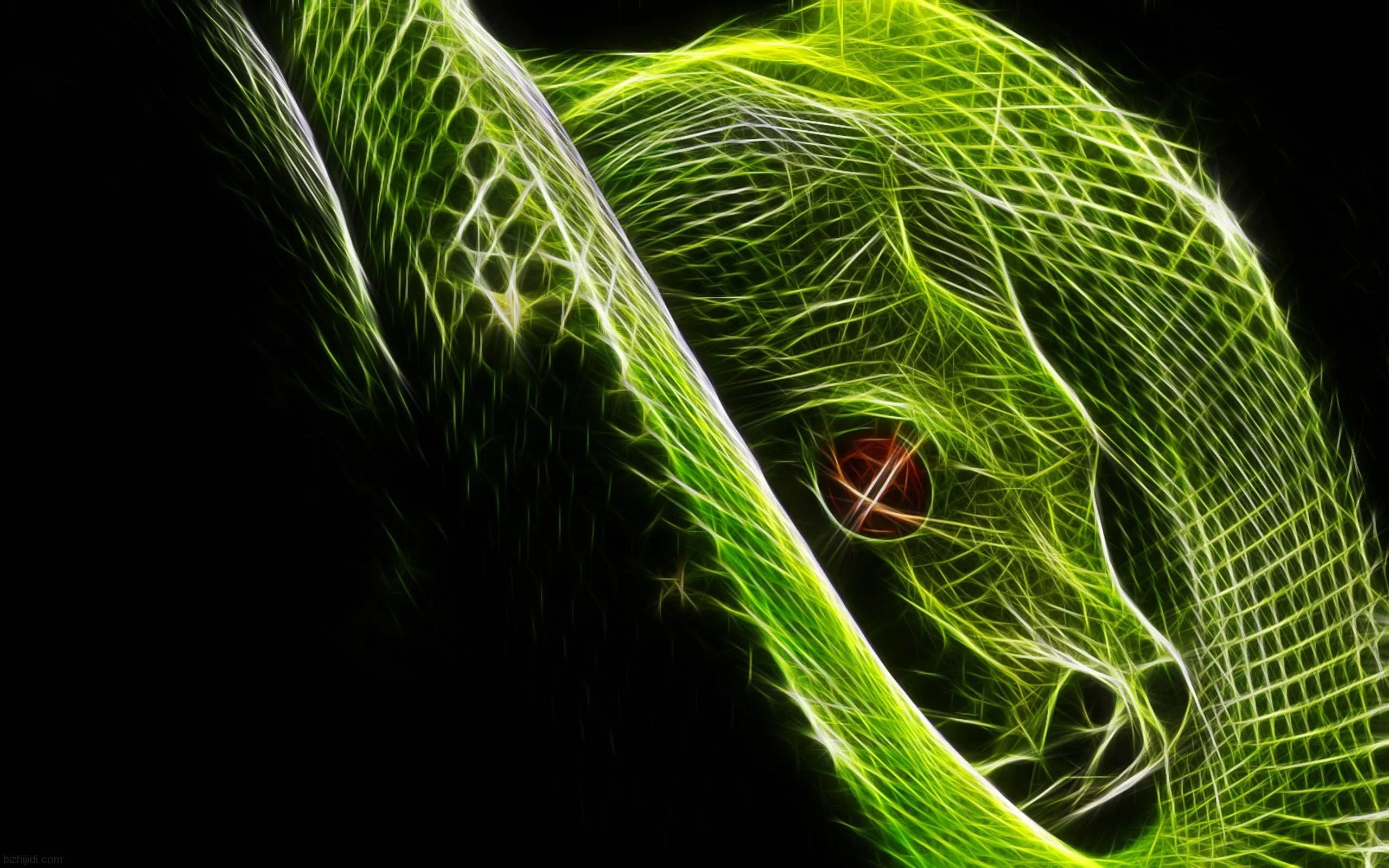 2560x1600 Neon Snake Wallpapers Top Free Neon Snake Backgrounds