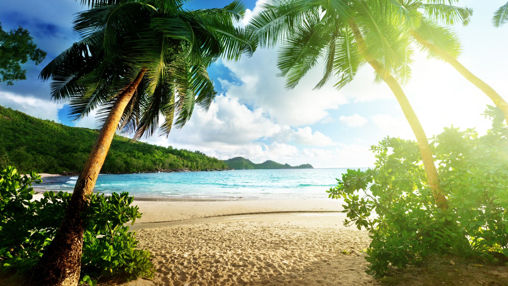 1920x1080 Tropical Paradise Wallpapers Top Free Tropical Paradise Backgrounds