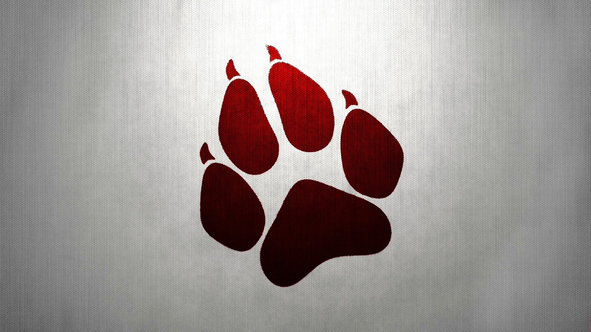1920x1080 20+ Paw HD Wallpapers and Backgrounds