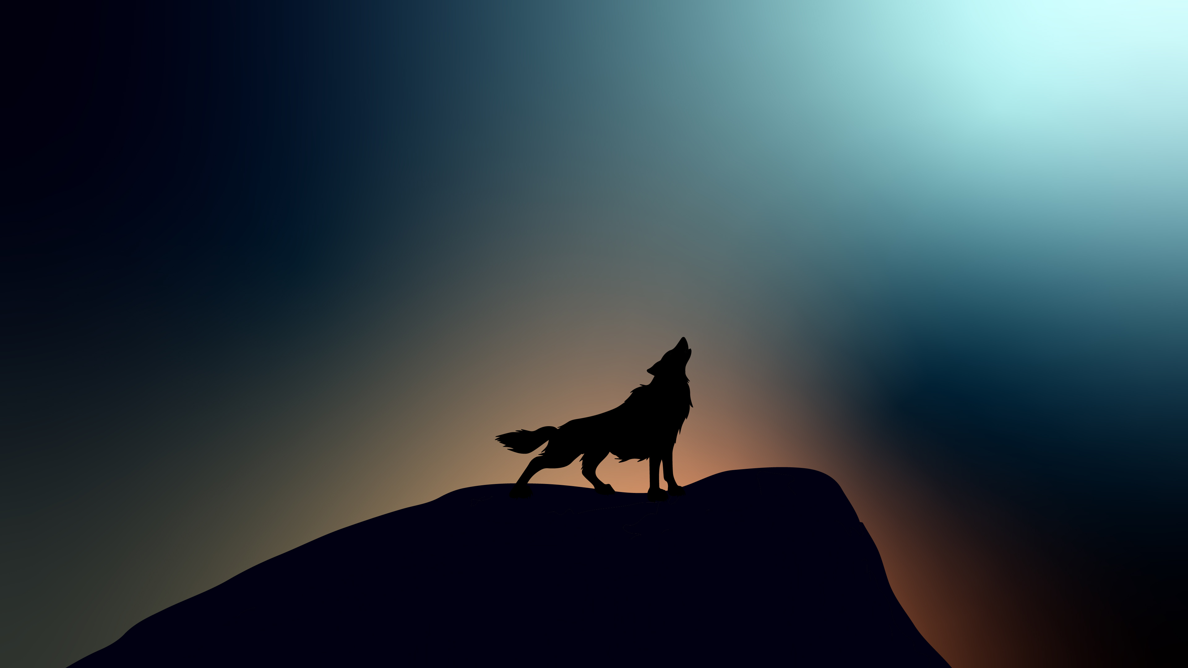 3840x2160 1280x800 Wolf Howling 4k 720P HD 4k Wallpapers, Images, Backgrounds, Photos and Pictures