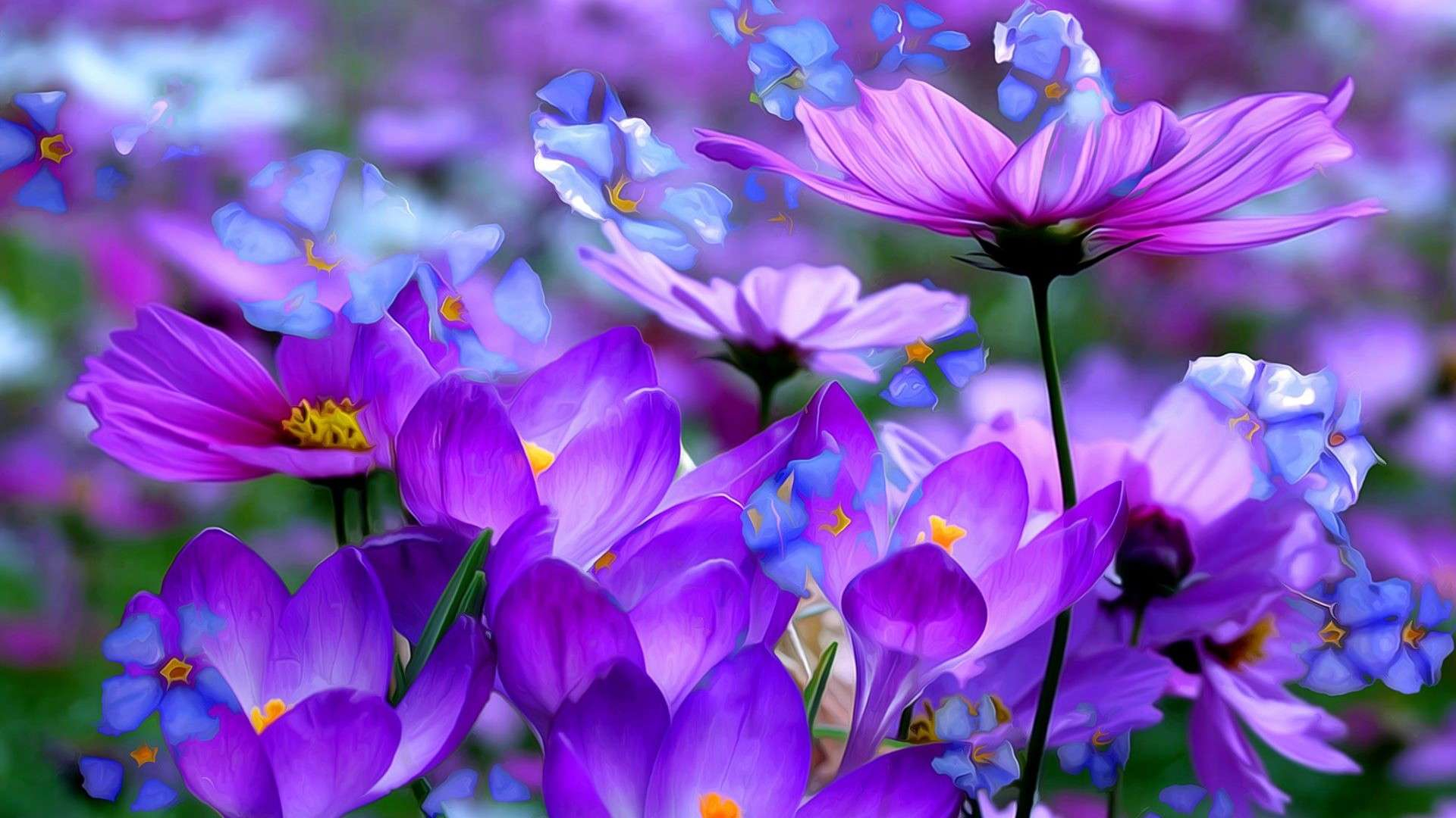 1920x1080 Purple Flowers Desktop Wallpapers Top Free Purple Flowers Desktop Backgrounds