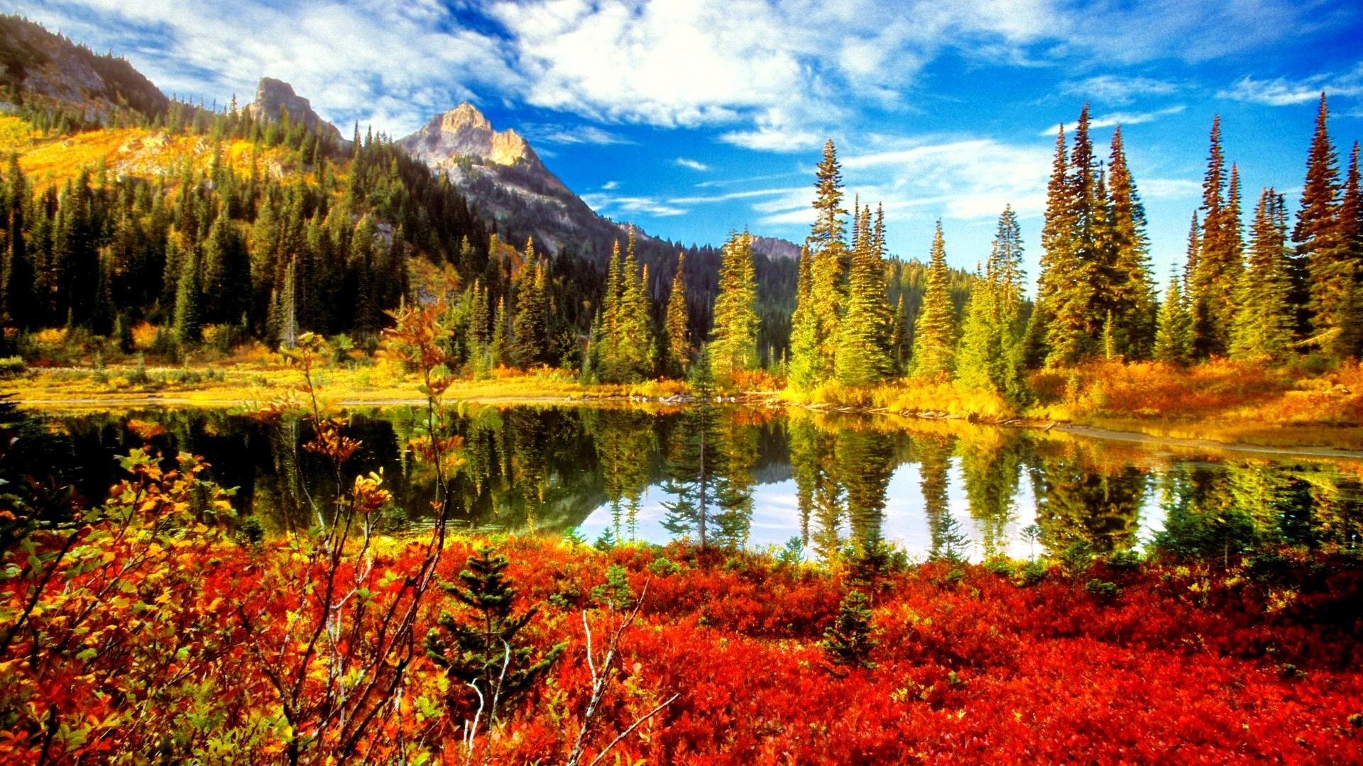 1920x1080 Fall Foliage Wallpaper (55+ pictures