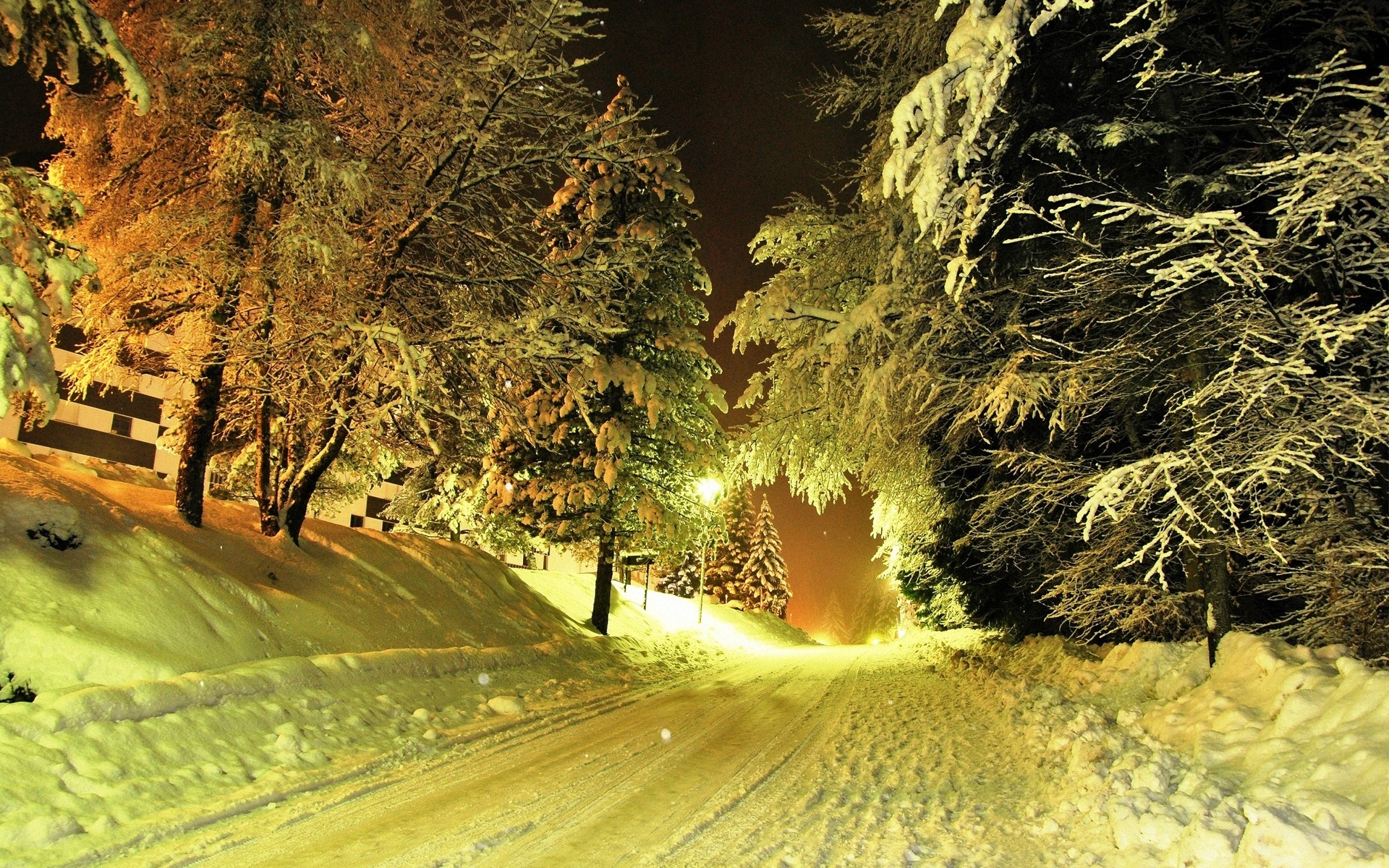 1920x1200 Nature landscapes roads street night light trees winter snow seasons snowing flakes snowfall wallpaper | | 27395
