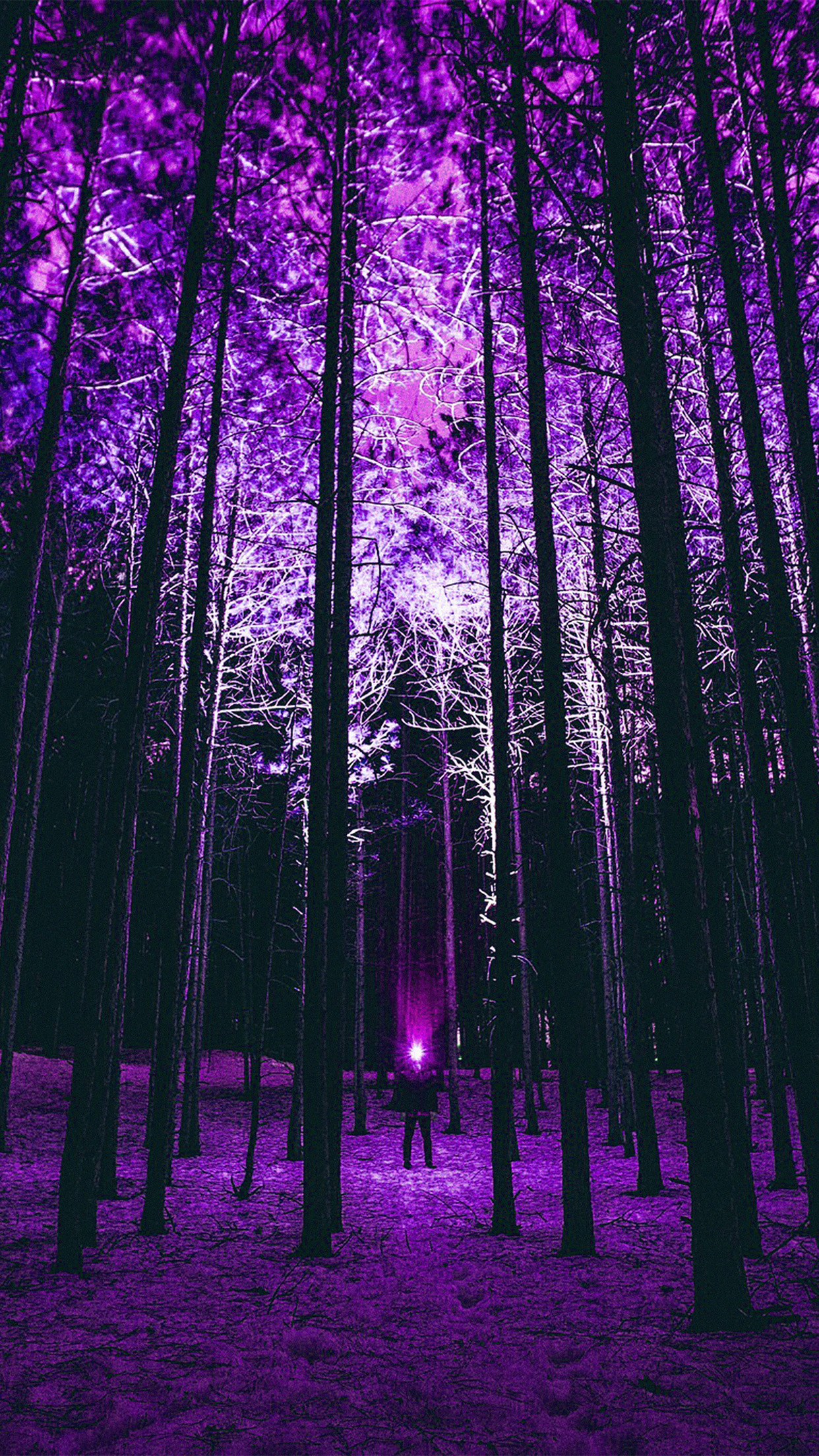 1242x2208 | iPhone X wallpaper | nn90-wood-mountain-nature-purplenight
