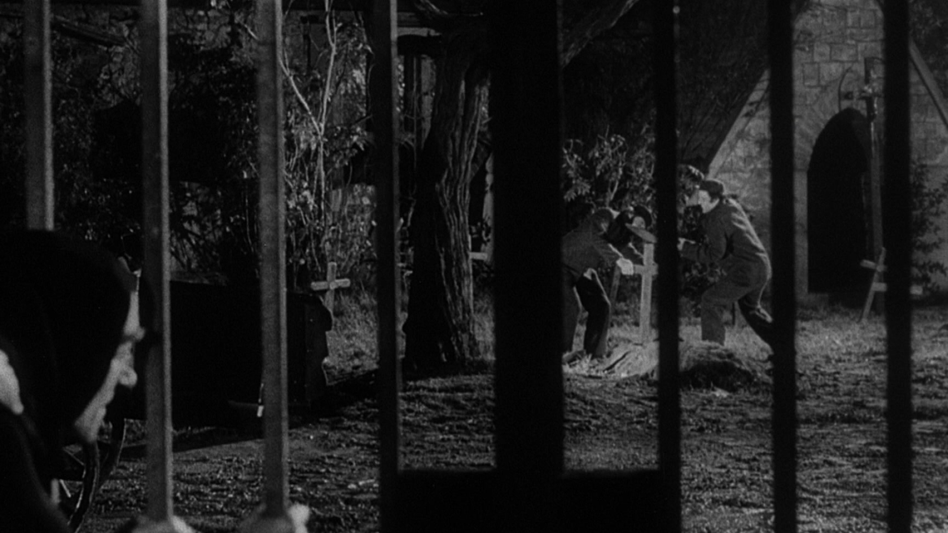 1920x1080 Young Frankenstein (1974) Screencap | Fancaps