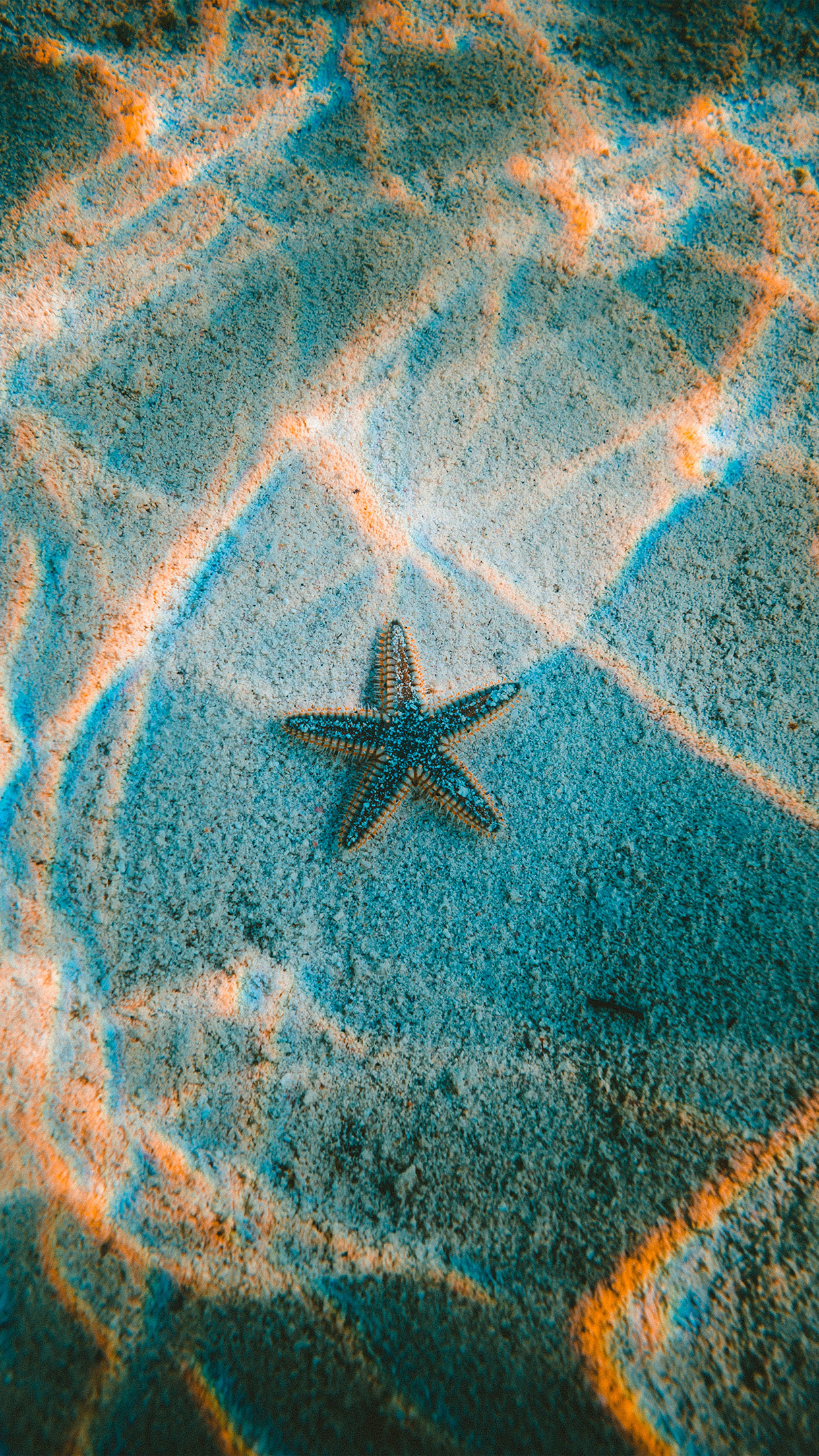 1242x2208 | iPhone11 wallpaper | nu23-starfish-sea-beach-nature
