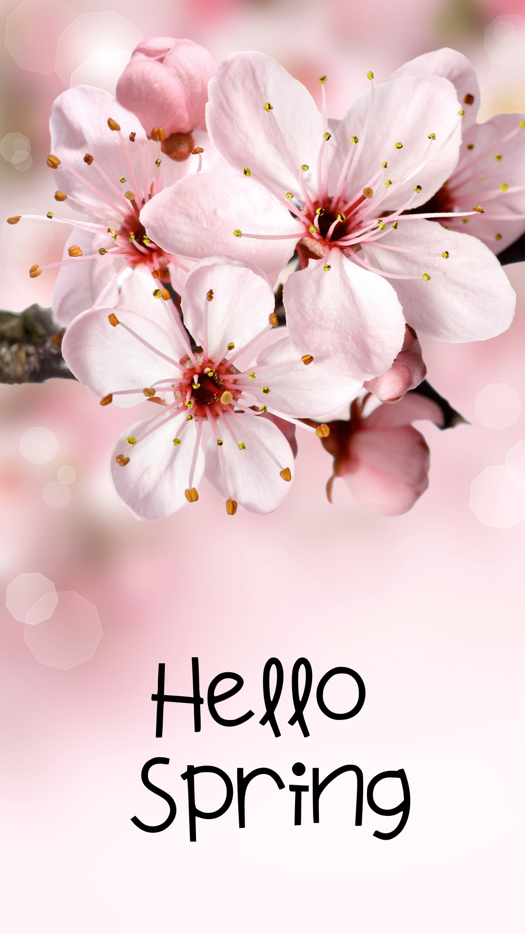 1080x1920 Spring Wallpaper for Your Phone | Spring wallpaper, Hello spring wallpaper, Beautiful wallpaper for phone