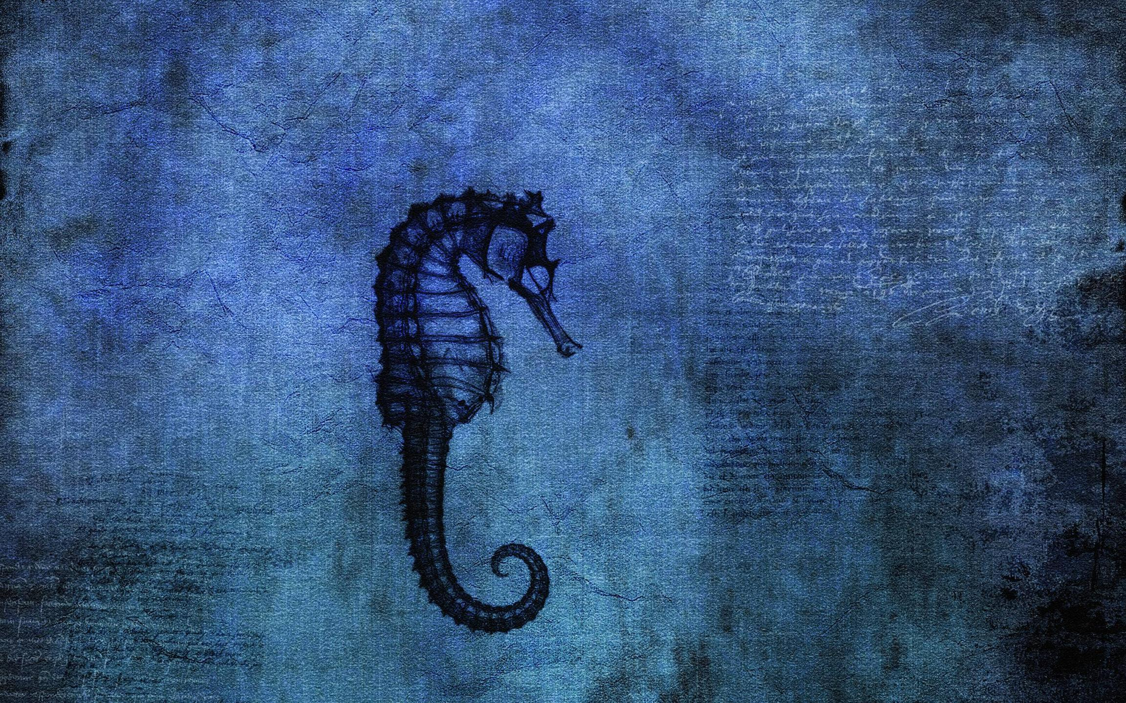 2304x1440 Seahorse Wallpapers