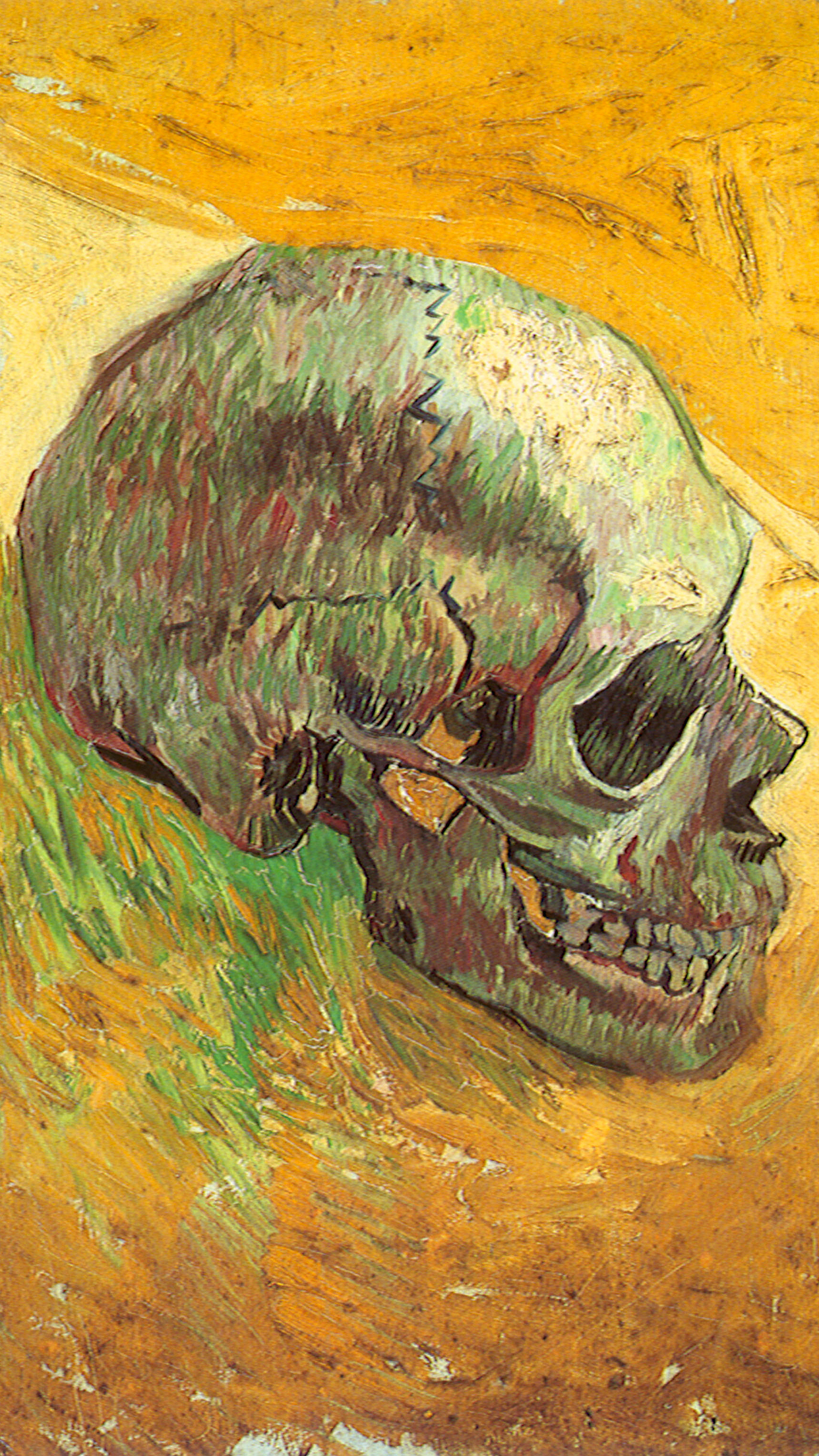 1242x2208 Van Gogh skull Wallpaper for iPhone 11, Pro Max, X, 8, 7, 6 Free Download on 3Wallpapers