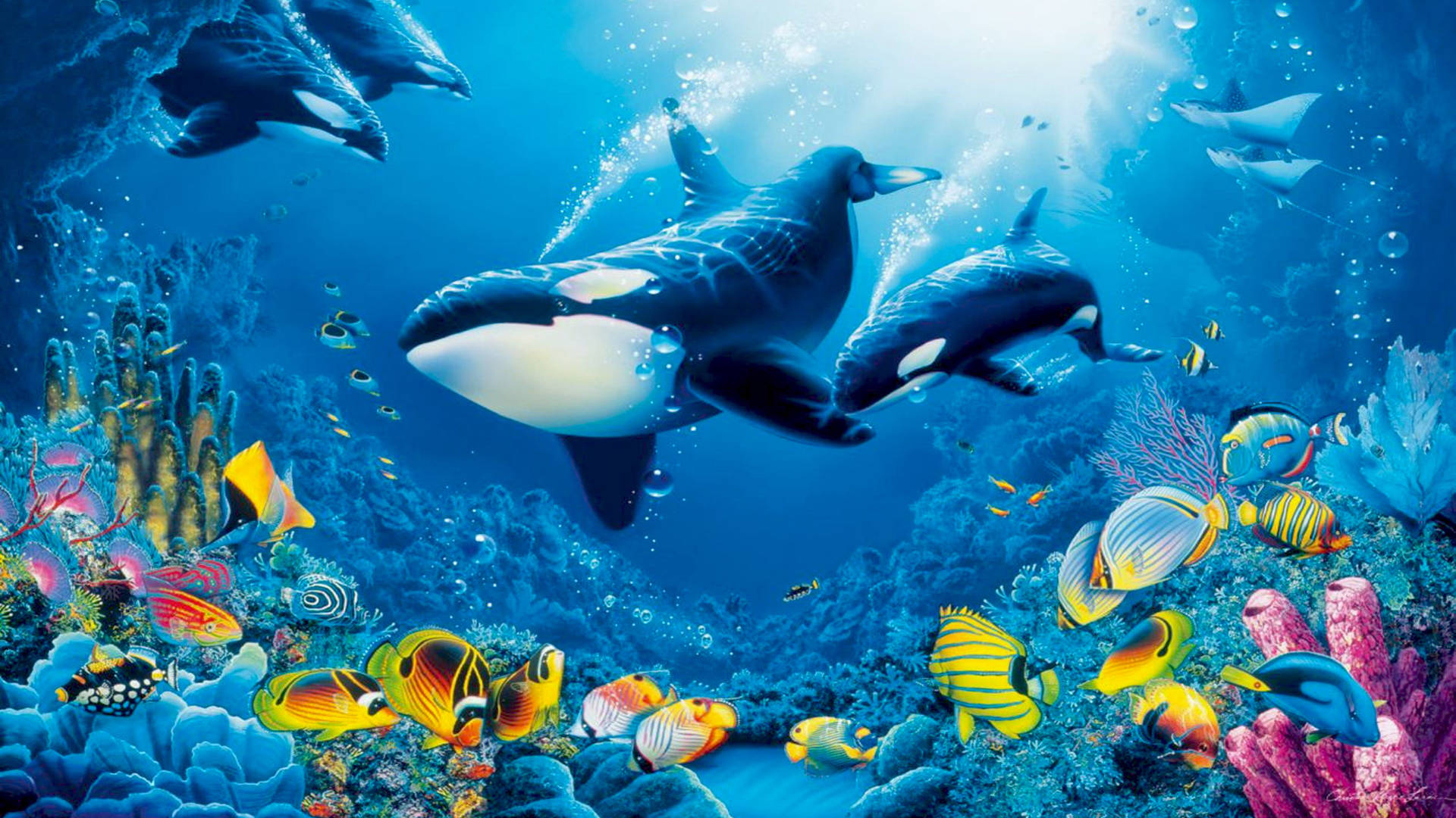 1920x1080 Download Whales And Fish Swimming Under Sea Wallpaper