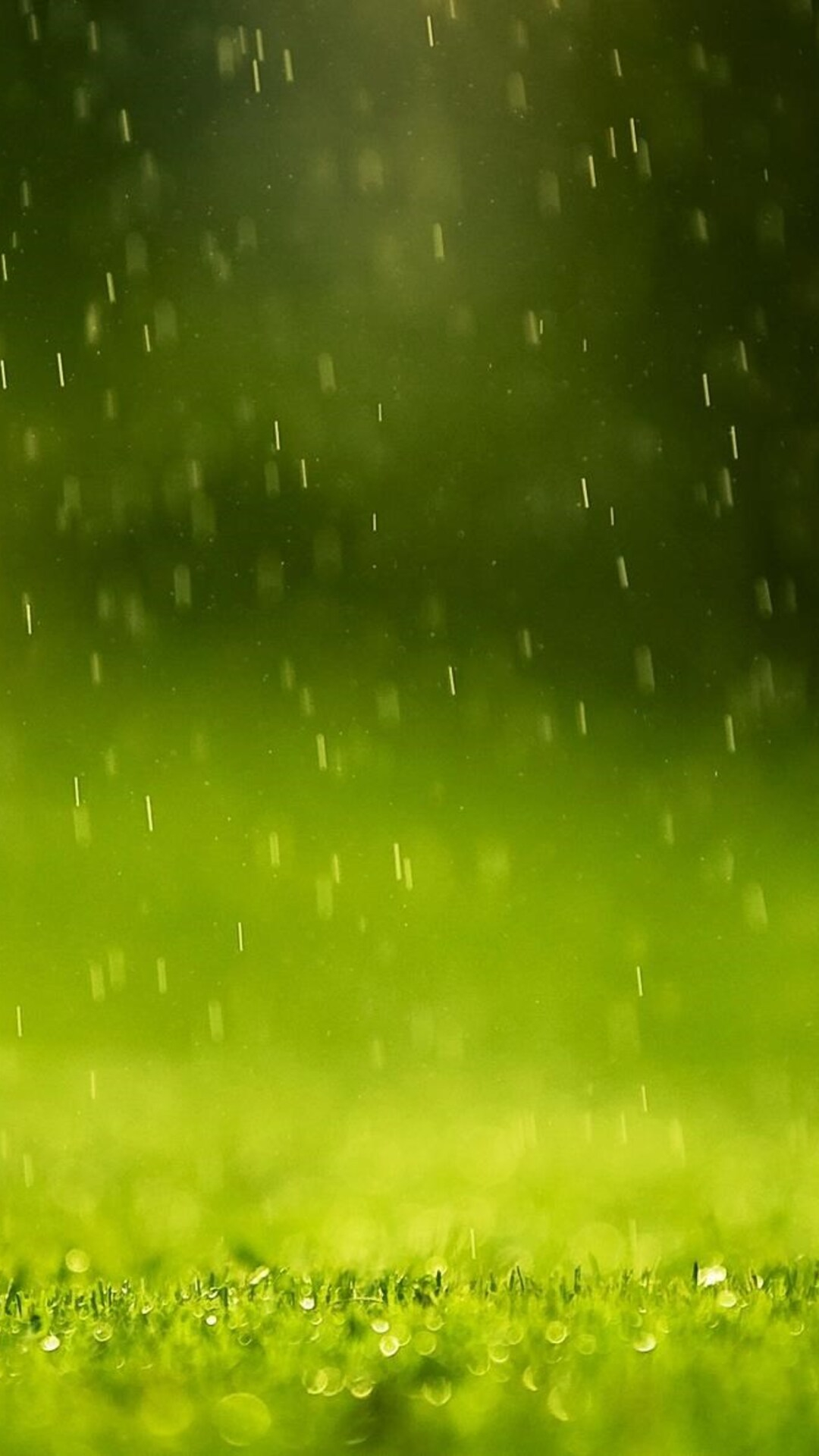 1080x1920 Beautiful Rain Drops Iphone 7,6s,6 Plus, Pixel xl ,One Plus 3,3t,5 HD 4k Wallpapers, Images, Backgrounds, Photos and Pictures