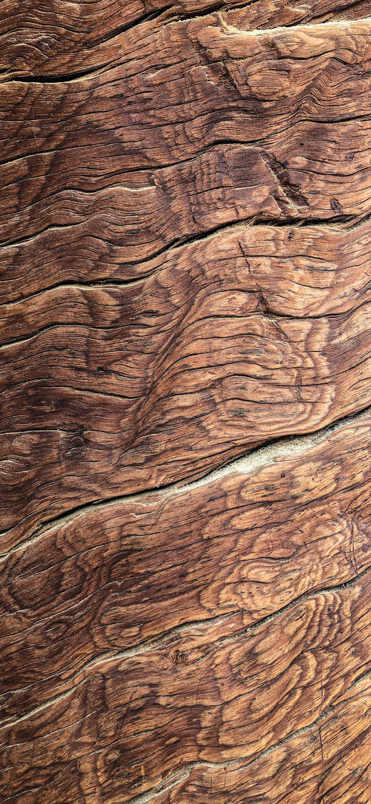 1242x2688 Wood Wallpaper for iPhone 11, Pro Max, X, 8, 7, 6 Free Download on 3Wallpapers