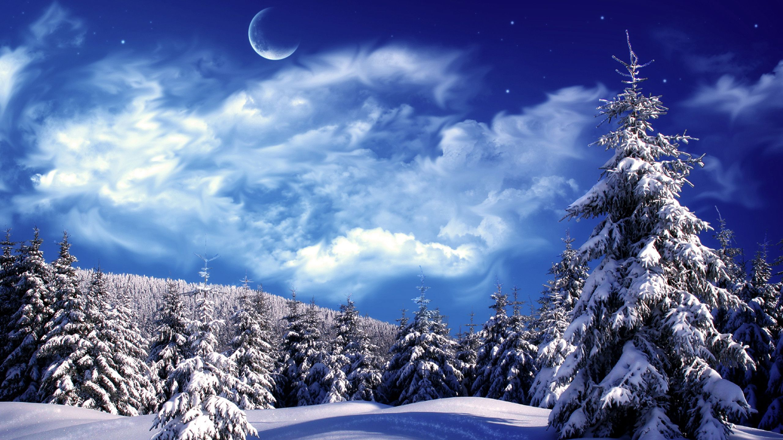 2560x1440 Snow Scenery Wallpapers