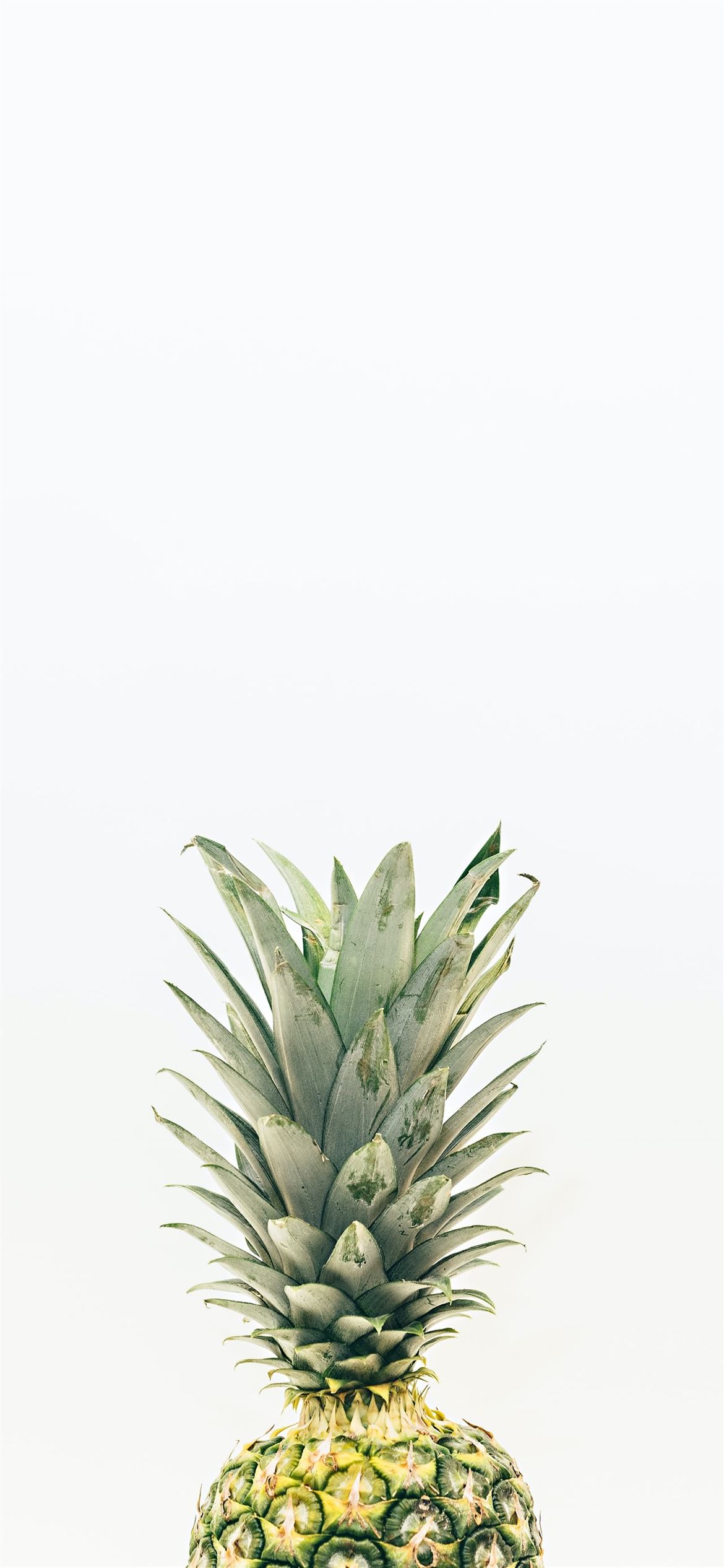 1170x2532 pineapple fruit iPhone 12 Wallpapers Free Download