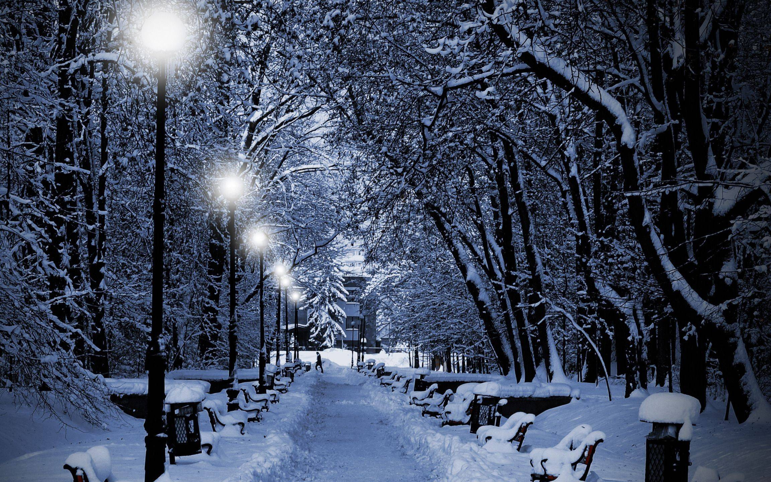 2560x1600 Winter Snow Night Wallpapers Top Free Winter Snow Night Backgrounds