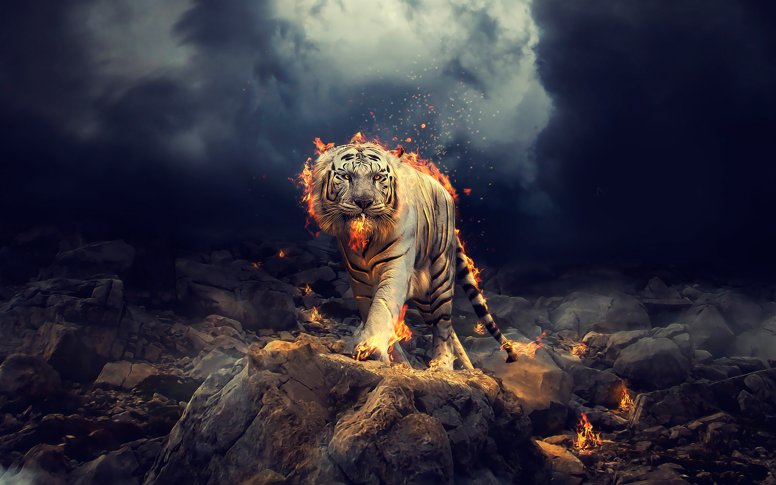2560x1600 Download angry, raging, white tiger wallpaper, dual wide 16:10 hd image, background, 10608