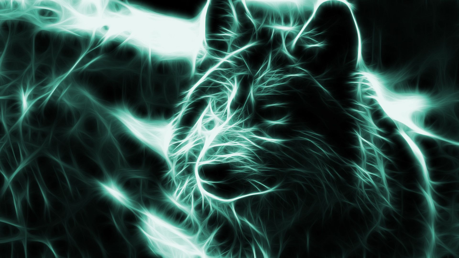 1920x1080 Neon Blue Wolf Wallpapers Top Free Neon Blue Wolf Backgrounds