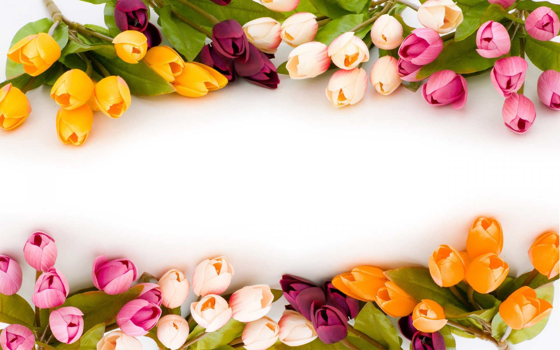 1920x1200 Wallpaper : px, flower, flowers, nature, spring, tulips CoolWallpapers 1745477 HD Wallpapers