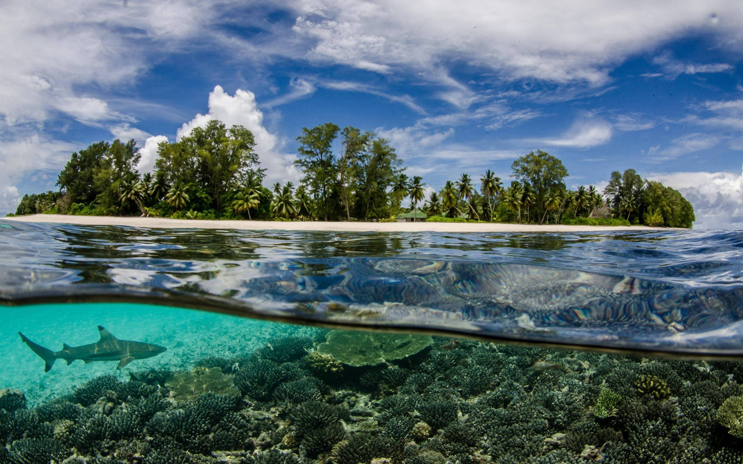 2560x1600 Body of water, Seychelles, sea, underwater, nature HD wallpaper | Wallpaper Flare