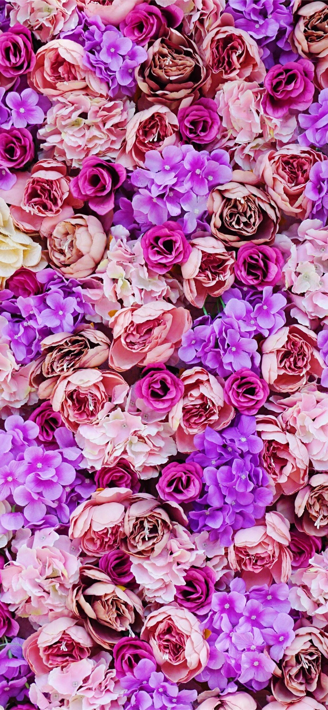 1125x2436 Pink and Purple Flower Wallpapers Top Free Pink and Purple Flower Backgrounds