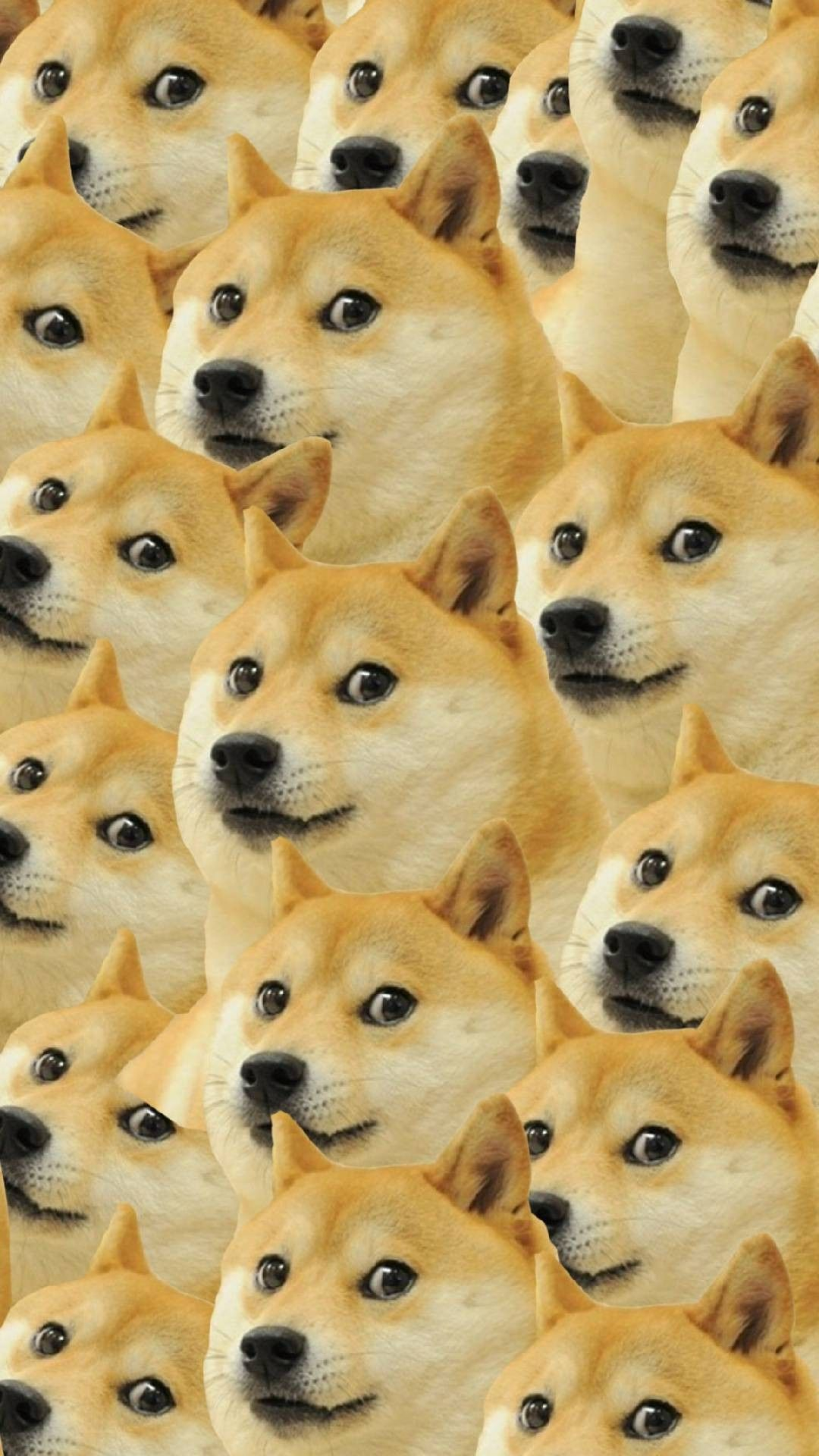 1080x1920 Shiba Inu Doge Wallpaper Home Screen | Dog wallpaper, Dog wallpaper iphone, Doge meme