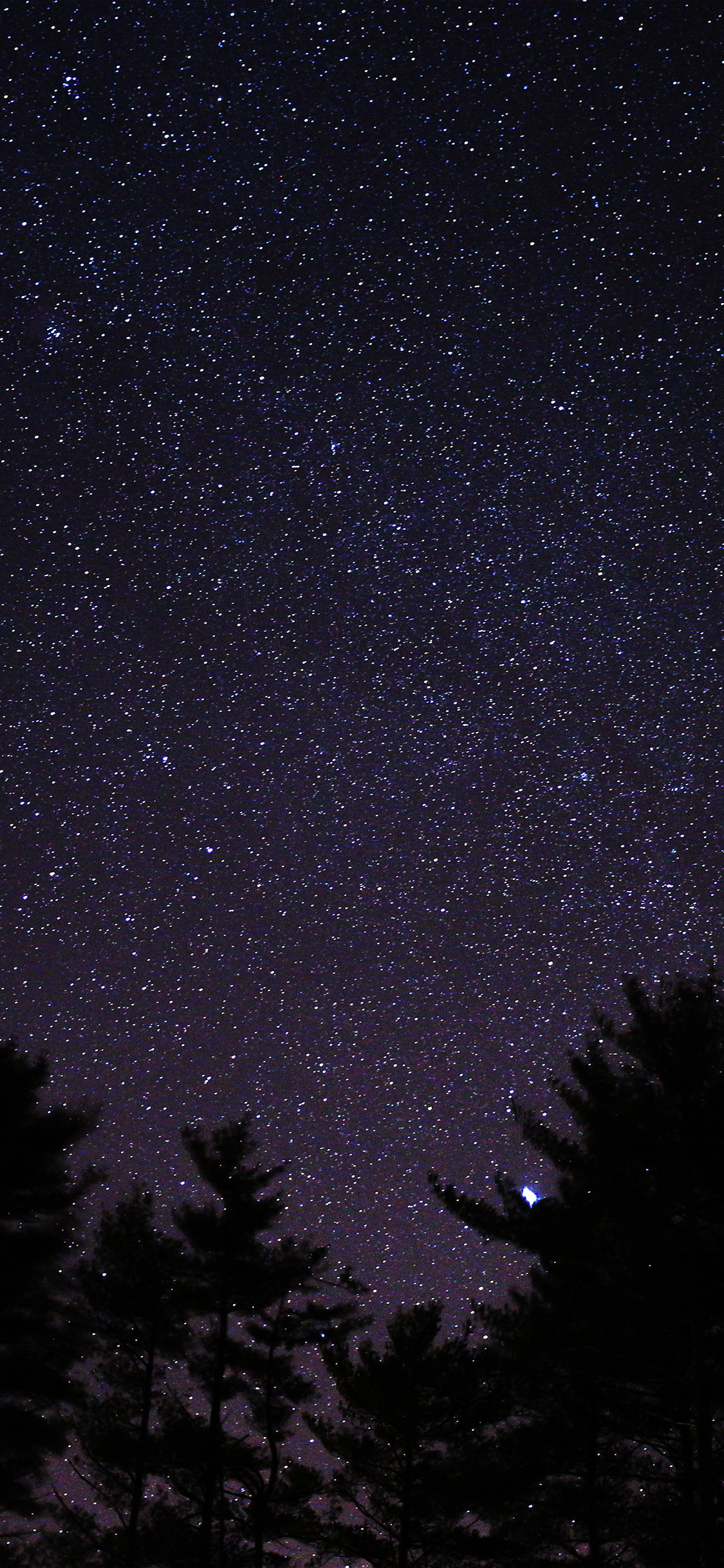1125x2436 ng56-night-sky-star-space-starry-wood-dark-blue-wallpaper