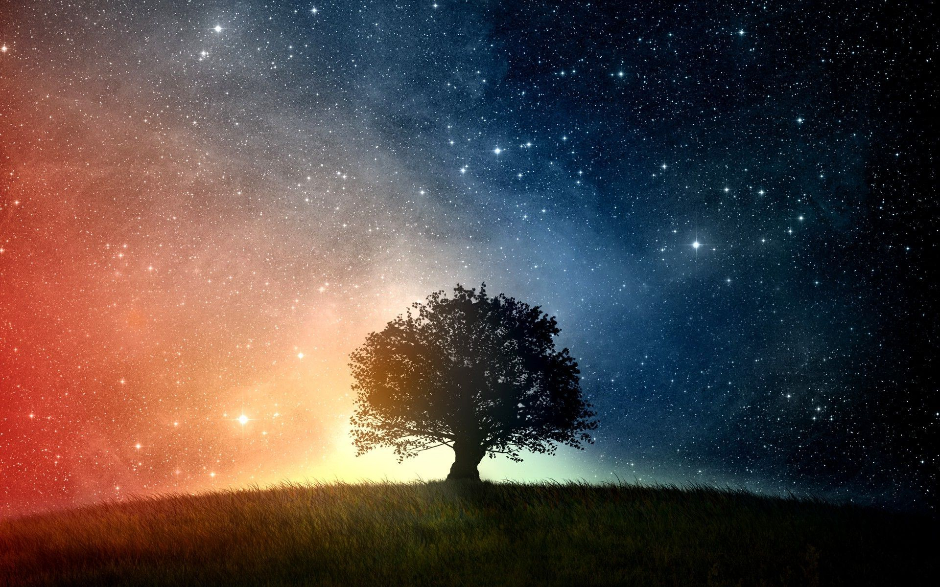 1920x1200 Trees and Stars Wallpapers Top Free Trees and Stars Backgrounds
