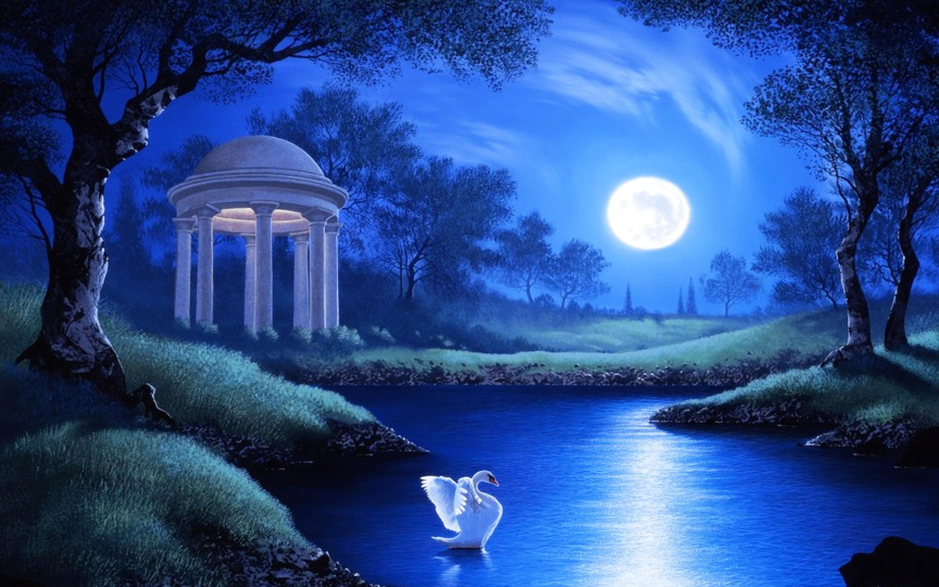 1920x1200 Swan in Garden Lake on Full Moon Night