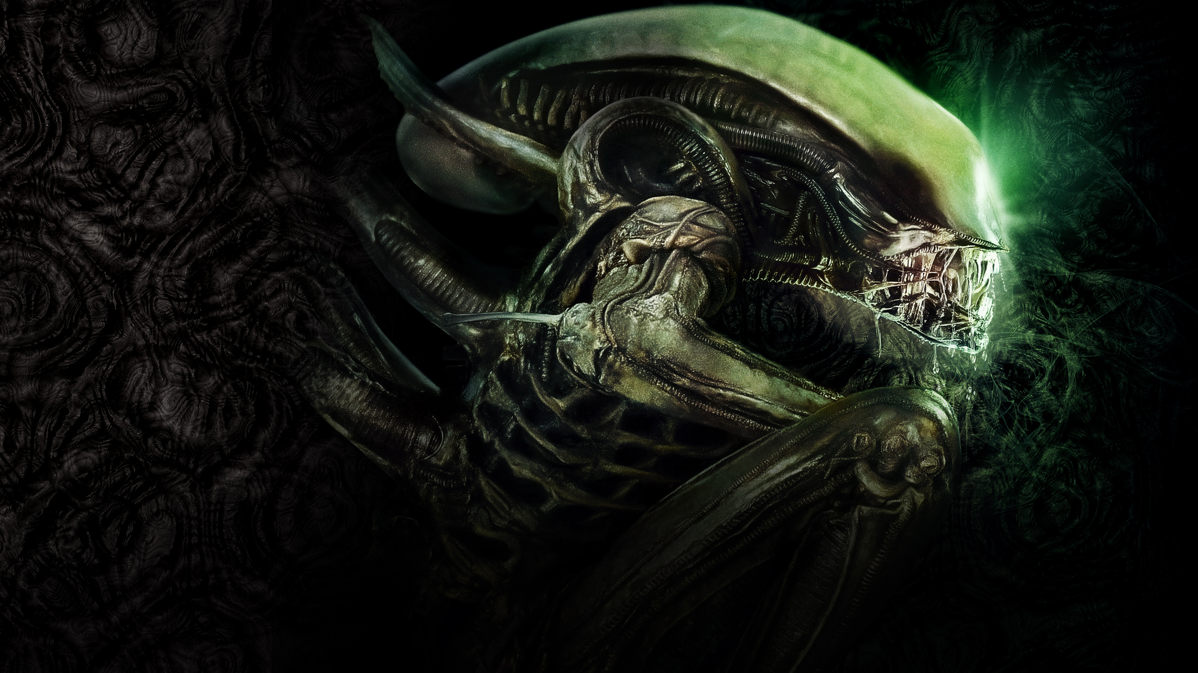 3840x2160 50+ Xenomorph HD Wallpapers and Backgrounds