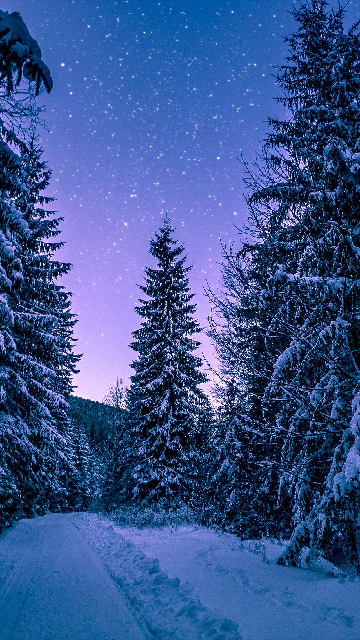 1242x2208 | iPhone11 wallpaper | nx97-snowwinter-wood-tree-road-night-nature