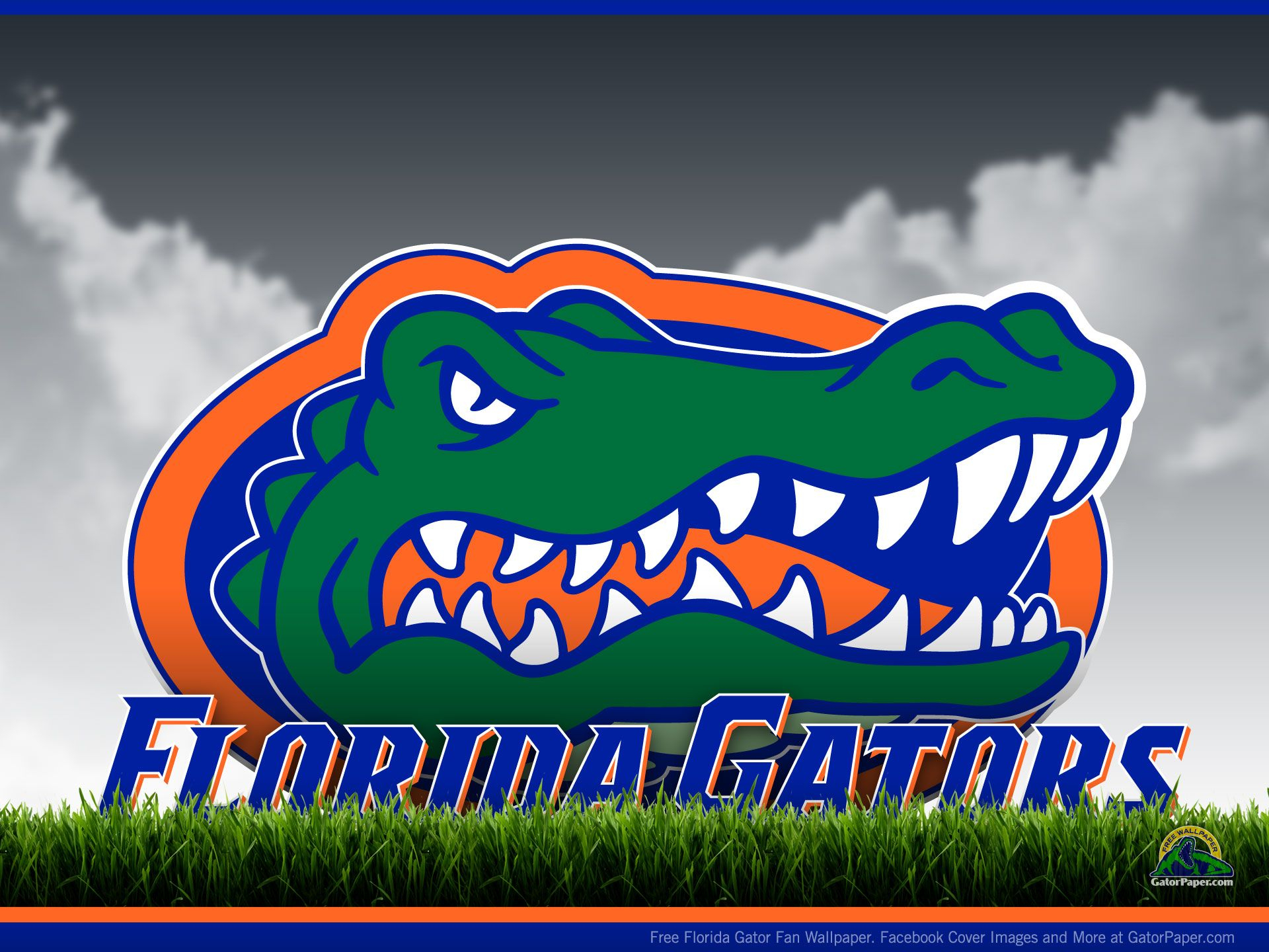 1920x1440 University of Florida Wallpaper GatorZone Bing Images | Florida gators football, Florida gators, Florida gators wallpaper
