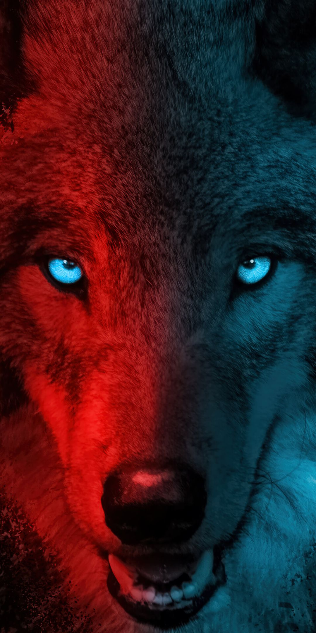 1080x2160 Top 35+ Cool Wolf Wallpapers [ New \u0026 Latest