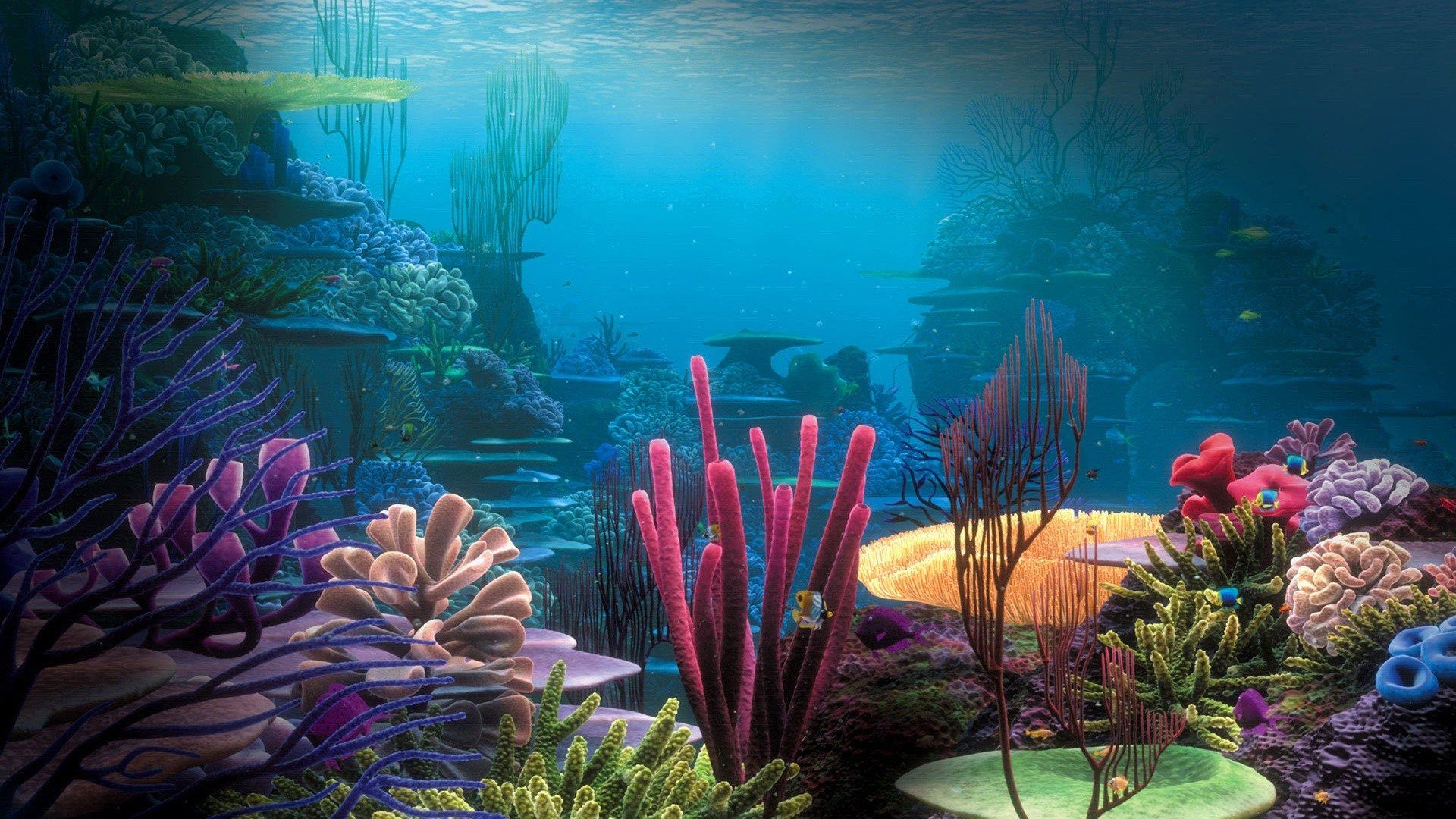 1920x1080 Underwater Coral Reef wallpapers HD free 294550 | Fundos de aqu&Atilde;&iexcl;rio, Painel fundo do mar, Fotos subaqu&Atilde;&iexcl;ticas
