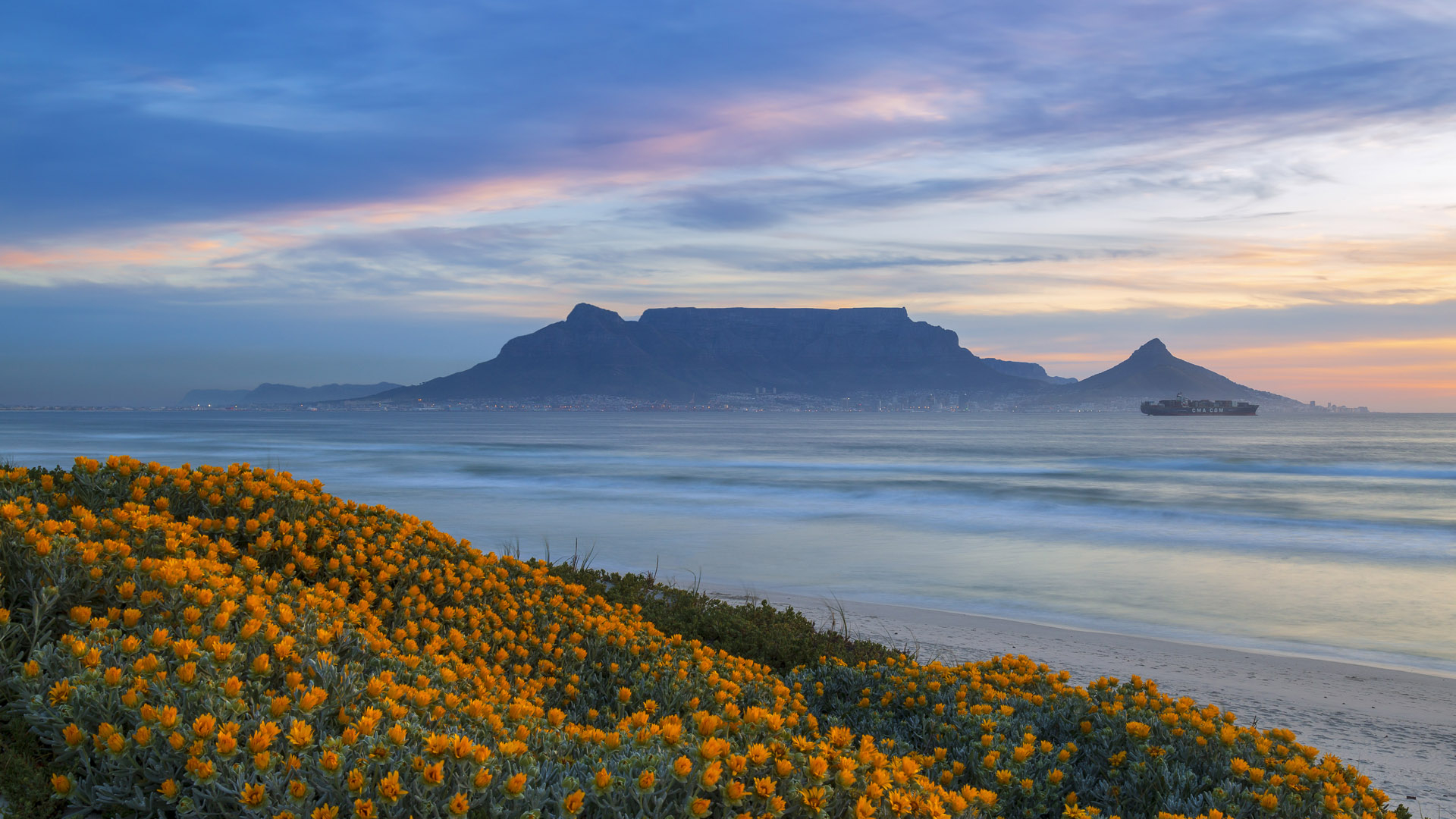1920x1080 Table Mountain at sunset with spring flowers along the coastline, South Africa | Windows 10 Spotlight Images