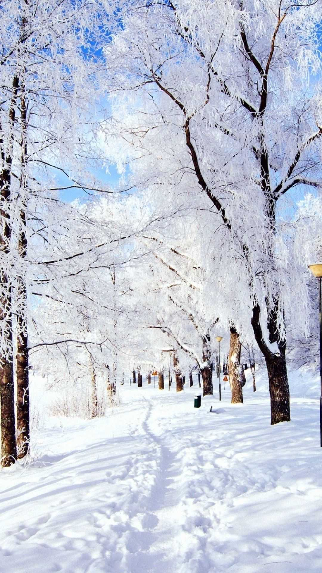 1080x1920 HD Winter Wallpaper