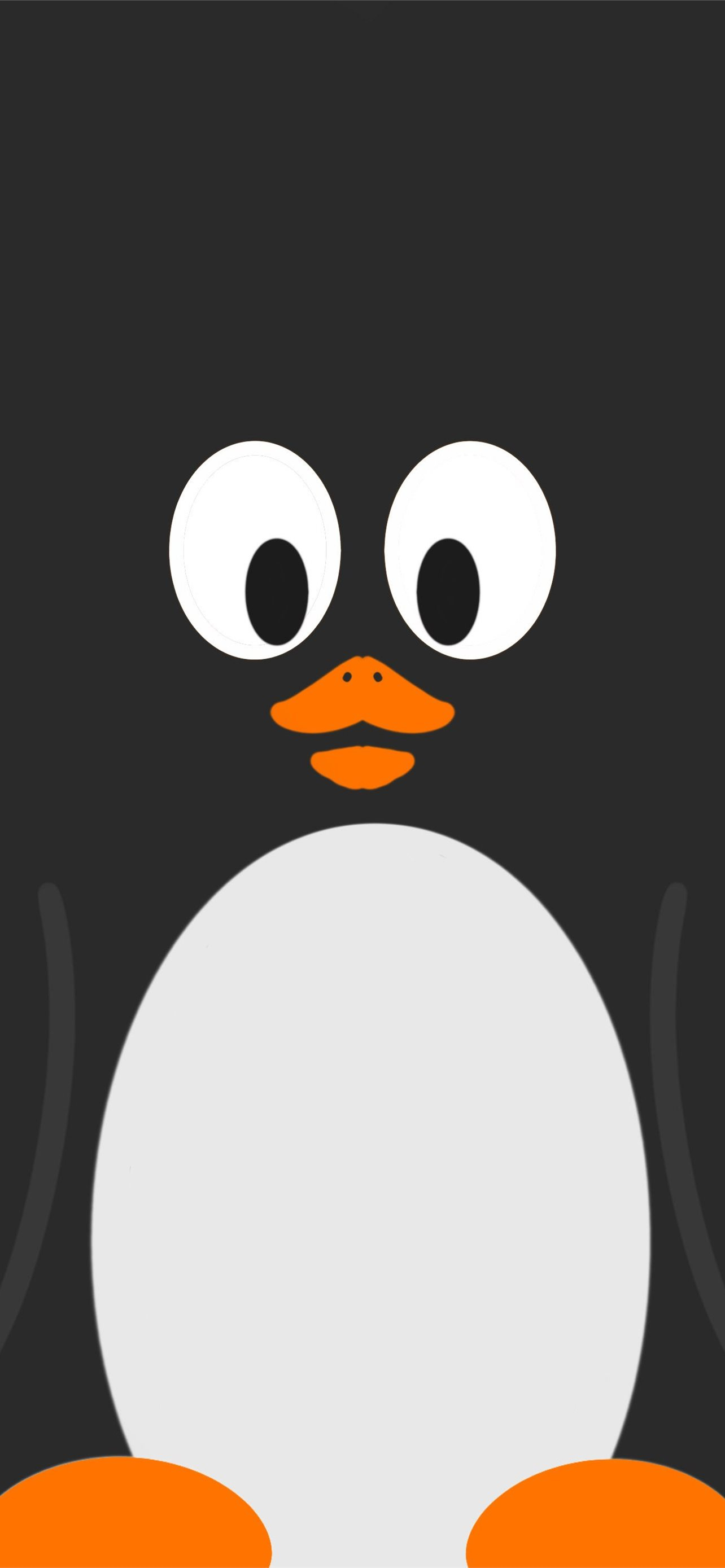 1284x2778 penguin iPhone Wallpapers Free Download